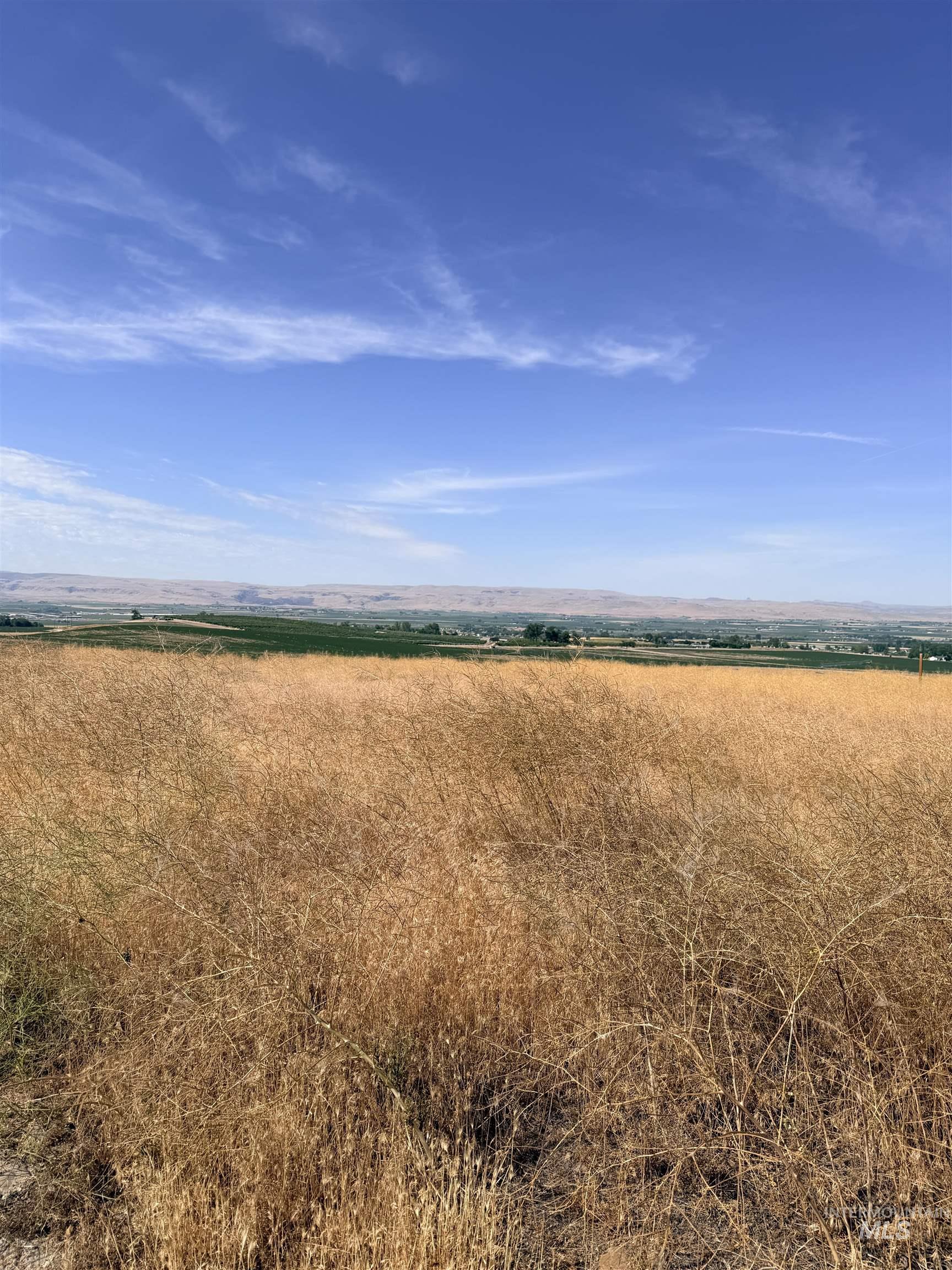 TBD Homedale Rd, Caldwell, Idaho 83676, Land For Sale, Price $345,000,MLS 98991926