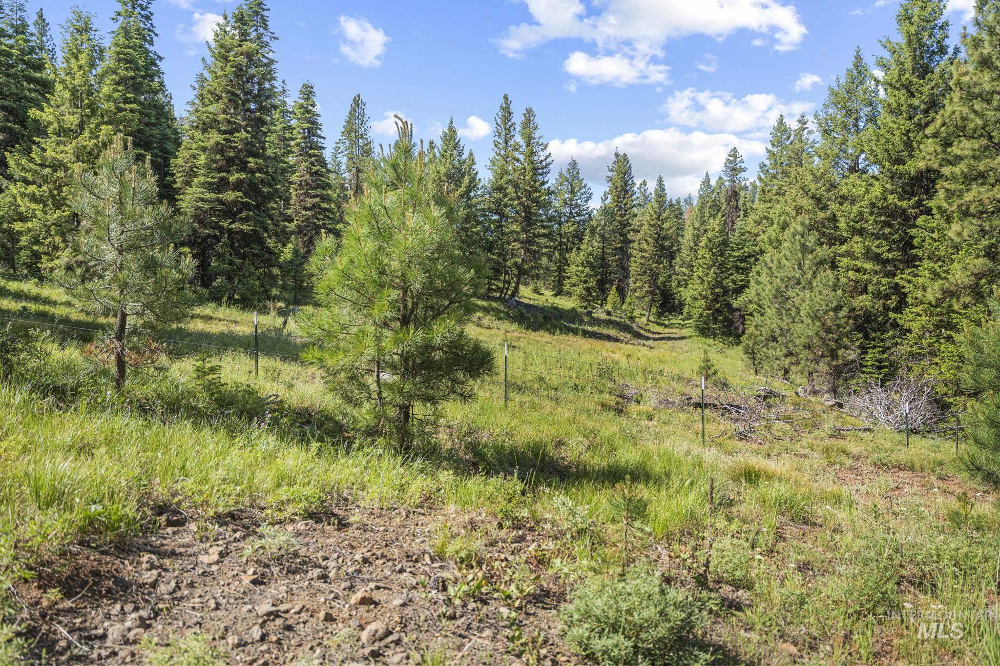 Lot 15 Blackhawk Lake Drive, McCall, Idaho 83638, Land For Sale, Price $525,000,MLS 98991953