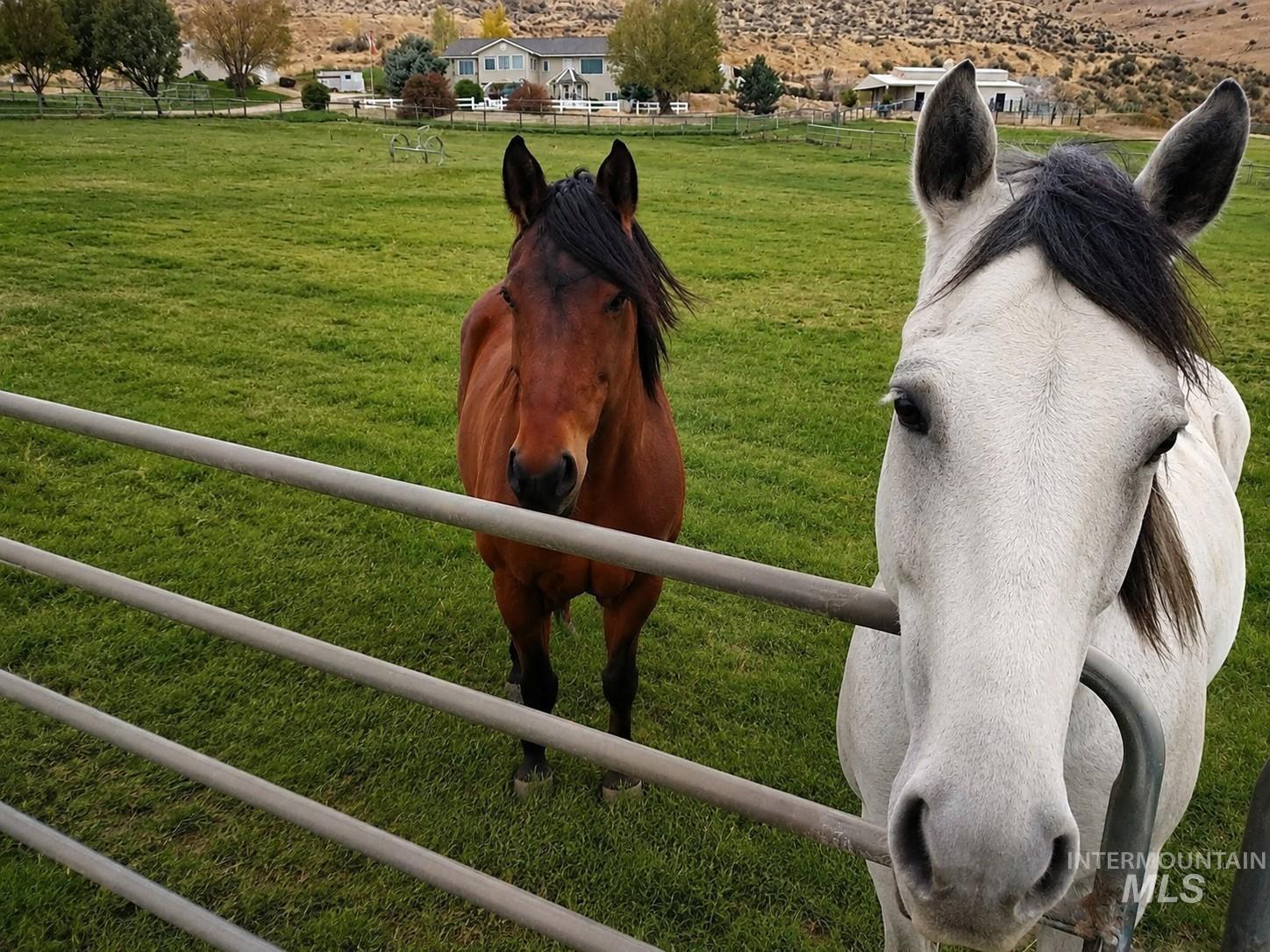 4255 Valley View Rd, Emmett, Idaho 83617, 4 Bedrooms, 3.5 Bathrooms, Residential For Sale, Price $1,695,000,MLS 98991997