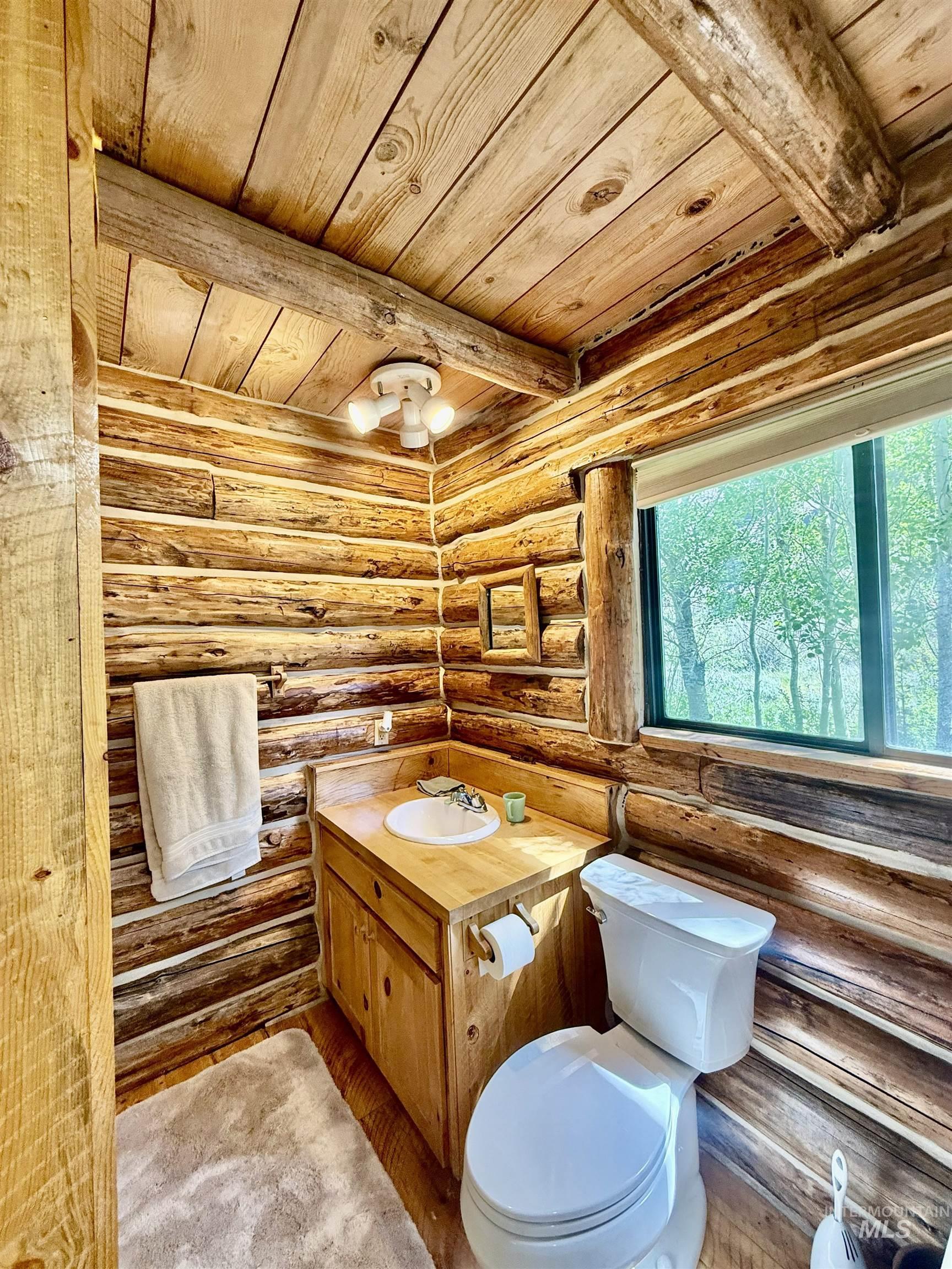 4299 North Fork, Outside City Limits, Idaho 83251, 2 Bedrooms, 2 Bathrooms, Residential For Sale, Price $795,000,MLS 98992007