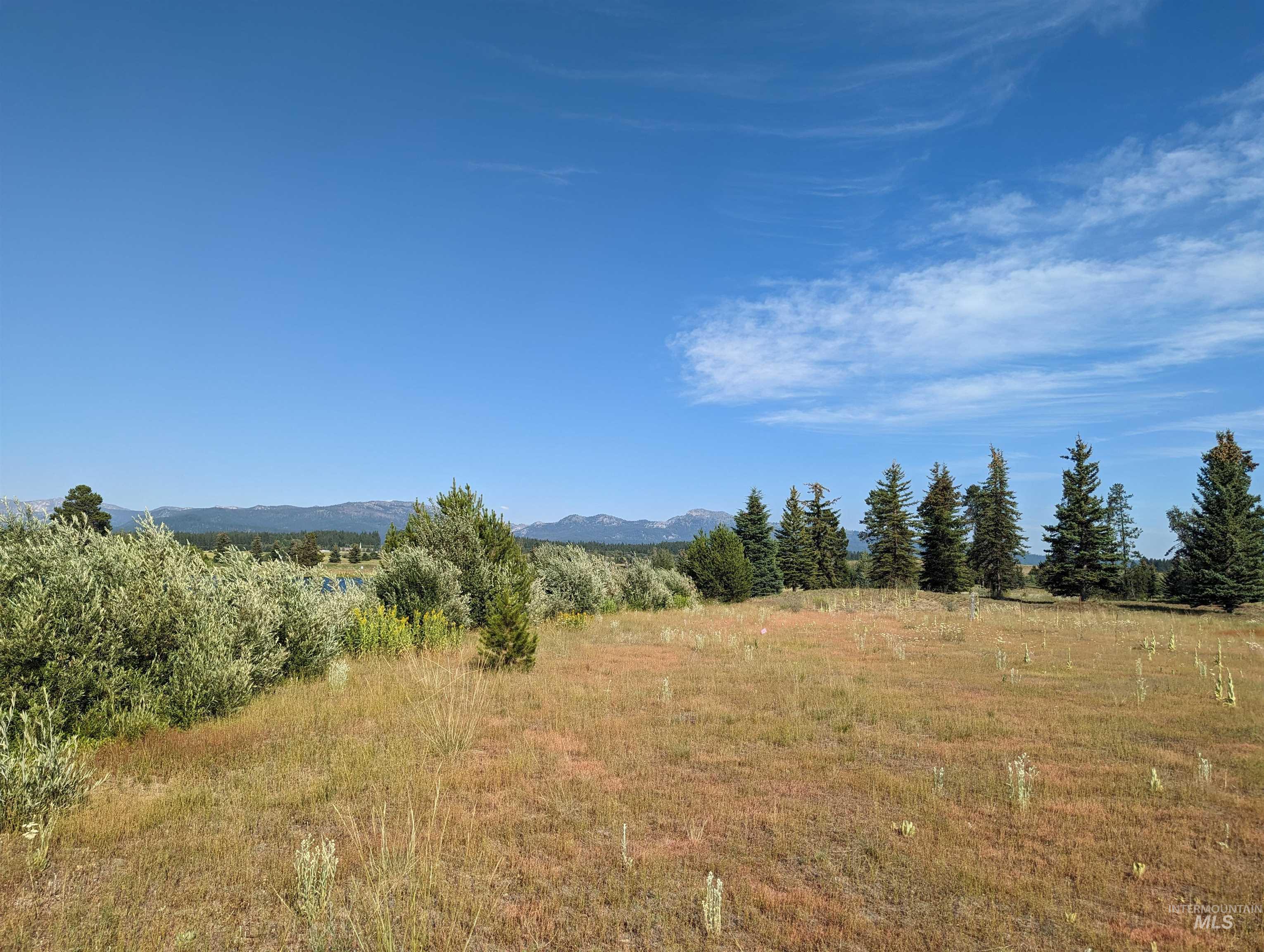 106 Saddle Ct., McCall, Idaho 83638, Land For Sale, Price $399,000, 98992021