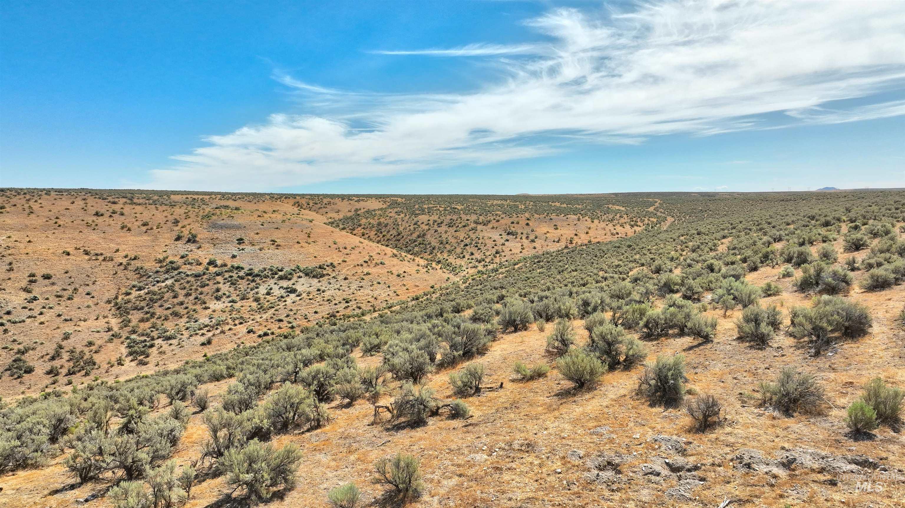 TBD Bully Creek Road, Vale, Oregon 97918, Land For Sale, Price $160,000,MLS 98992066