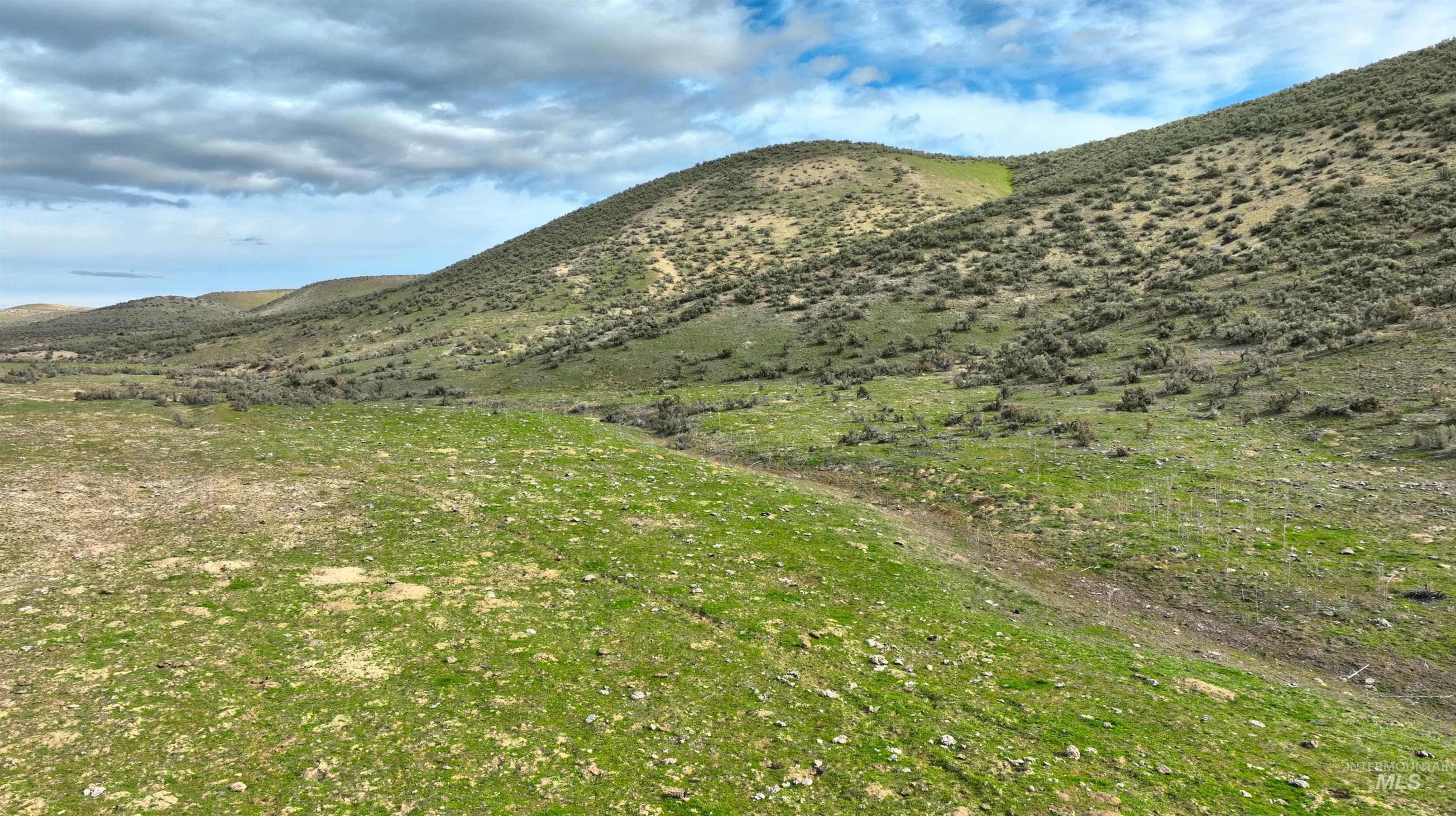 TBD Bully Creek Road, Vale, Oregon 97918, Land For Sale, Price $175,000,MLS 98992066