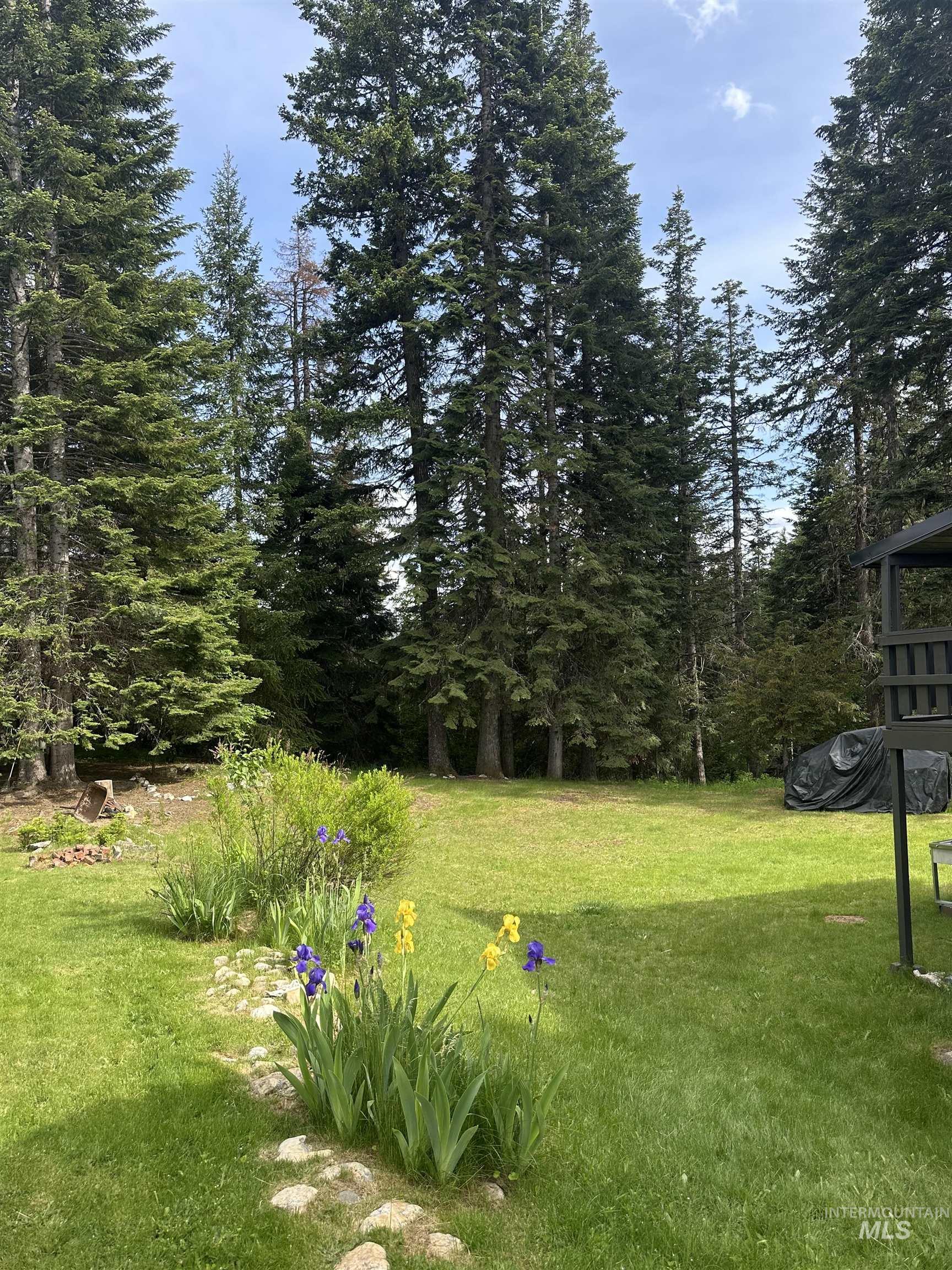 170 Timberline Dr, Pierce, Idaho 83546, 4 Bedrooms, 2 Bathrooms, Residential For Sale, Price $309,000, 98992090