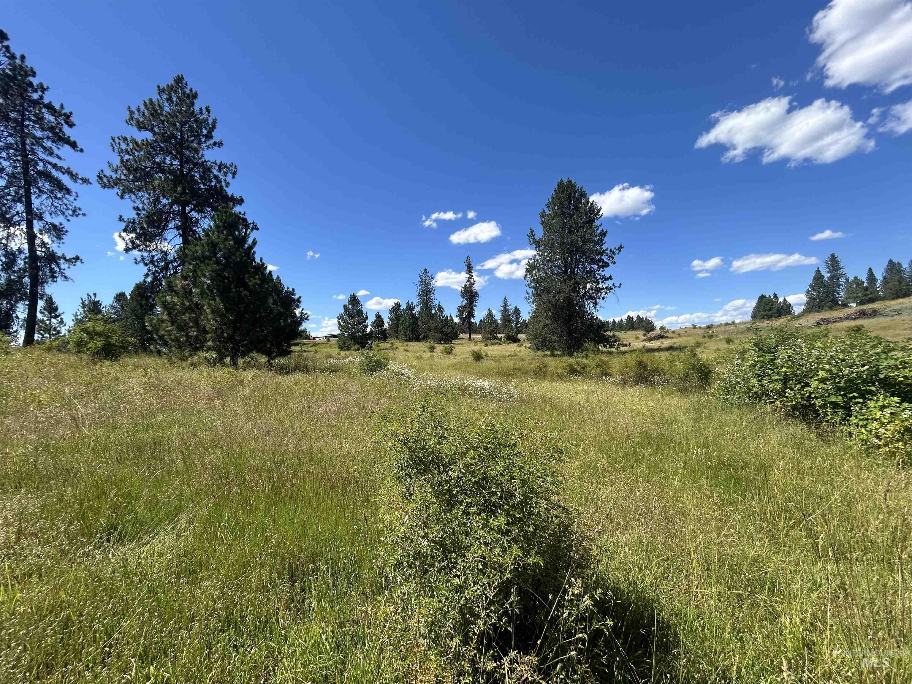 TBD Lot 2 Too Kush Road, Kooskia, Idaho 83539, Land For Sale, Price $150,000, 98992128