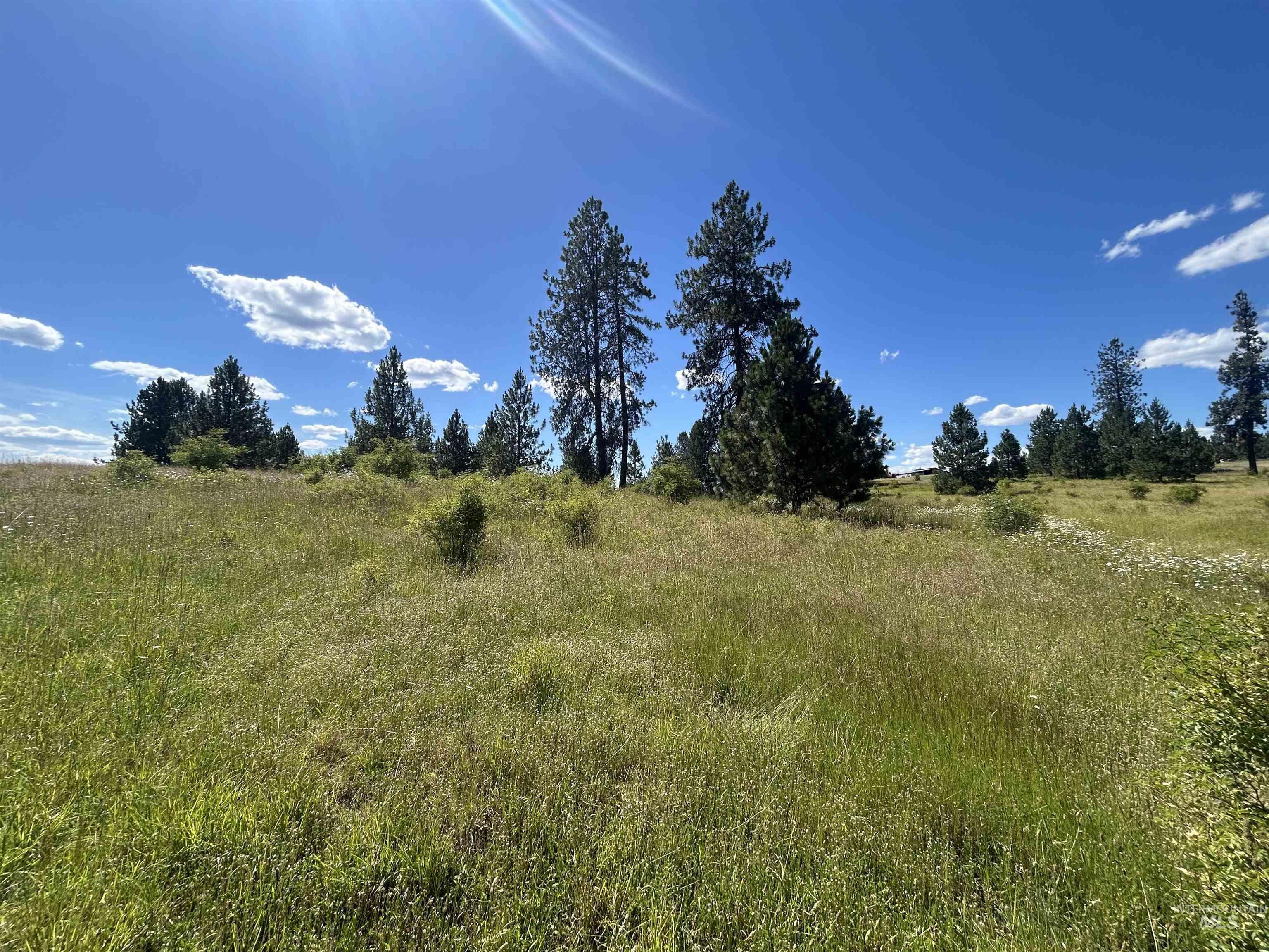 TBD Lot 2 Too Kush Road, Kooskia, Idaho 83539, Land For Sale, Price $150,000, 98992128