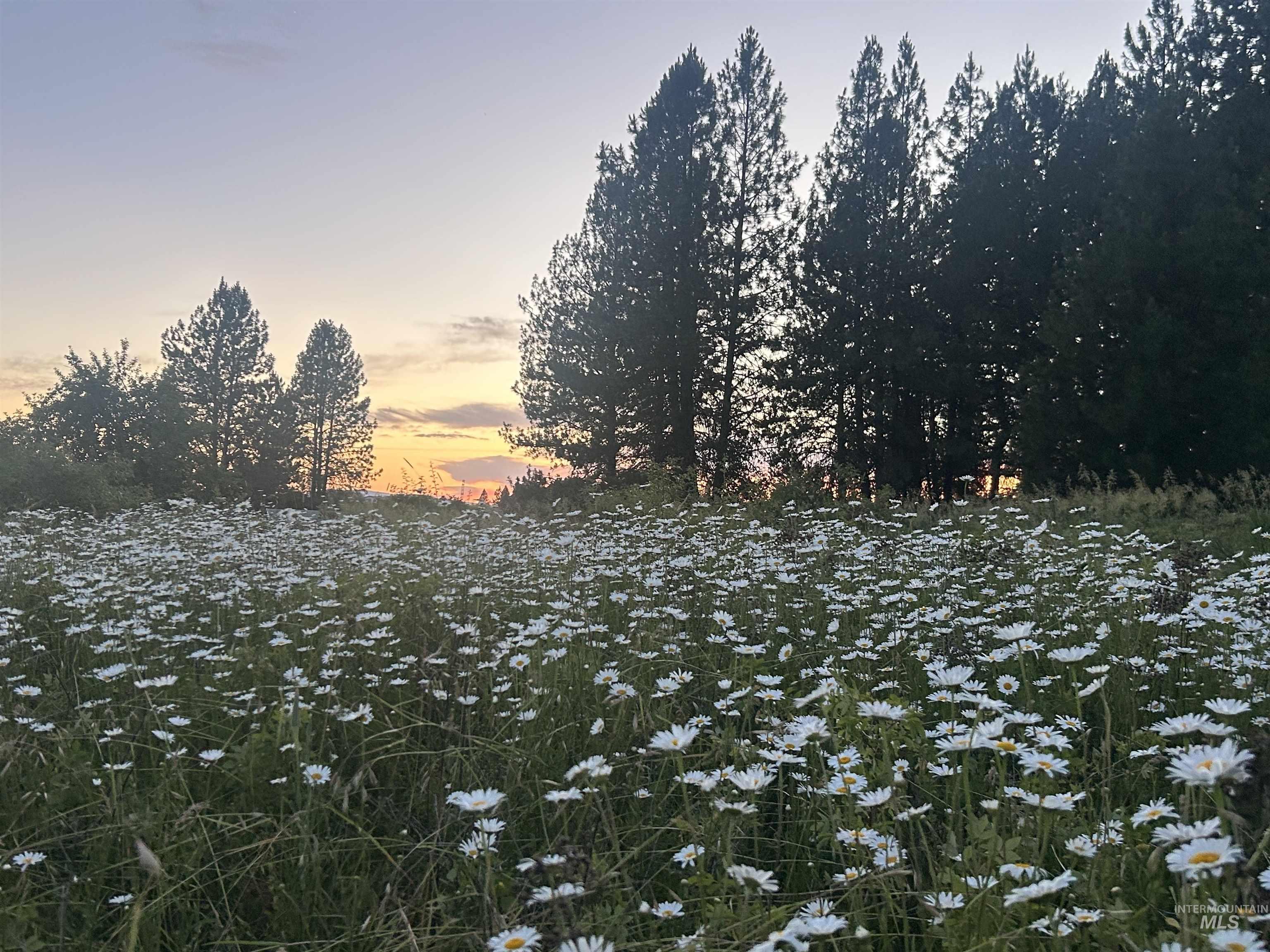 TBD Lot 2 Too Kush Road, Kooskia, Idaho 83539, Land For Sale, Price $150,000, 98992128