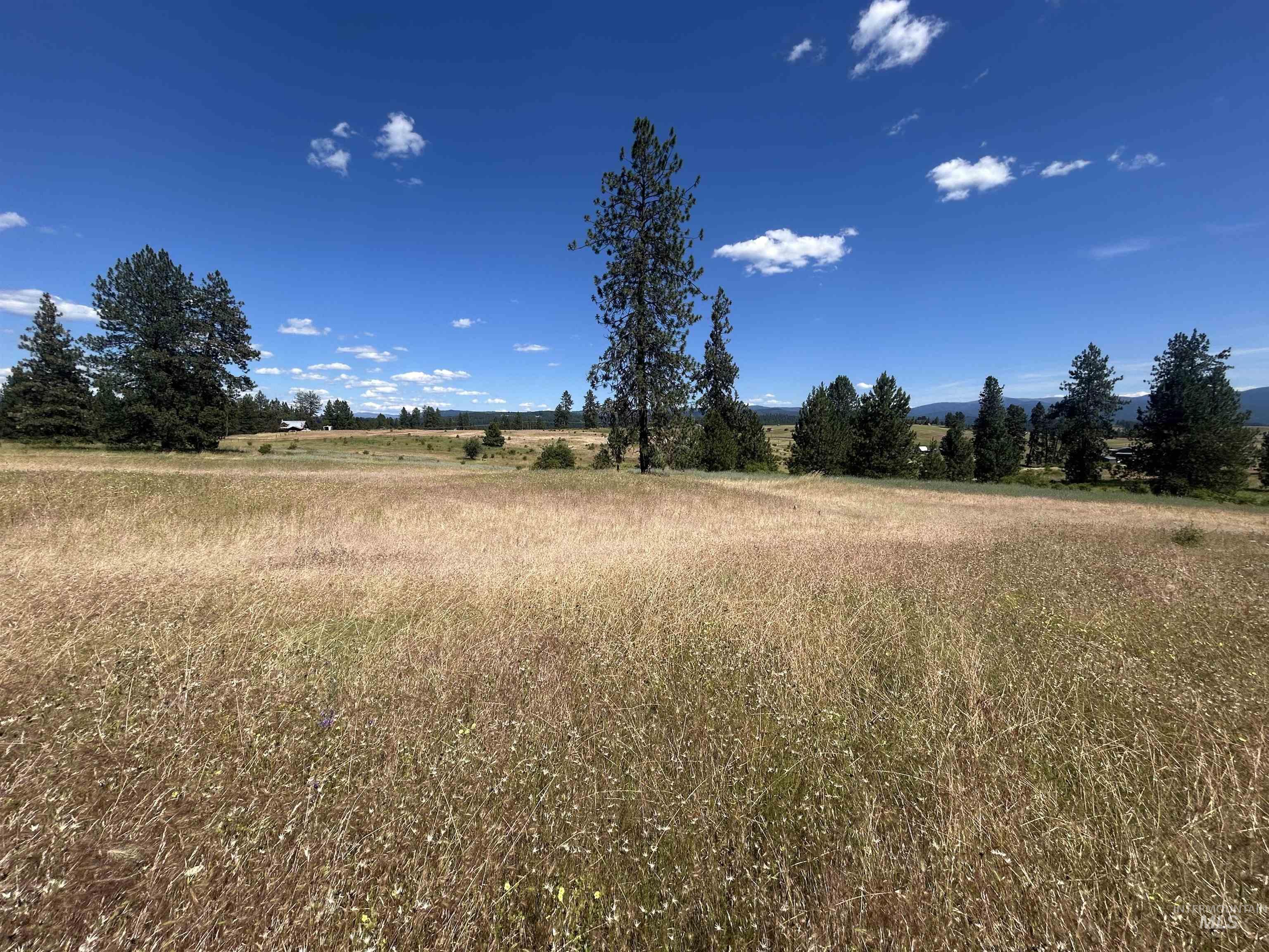 TBD Lot 2 Too Kush Road, Kooskia, Idaho 83539, Land For Sale, Price $150,000, 98992128