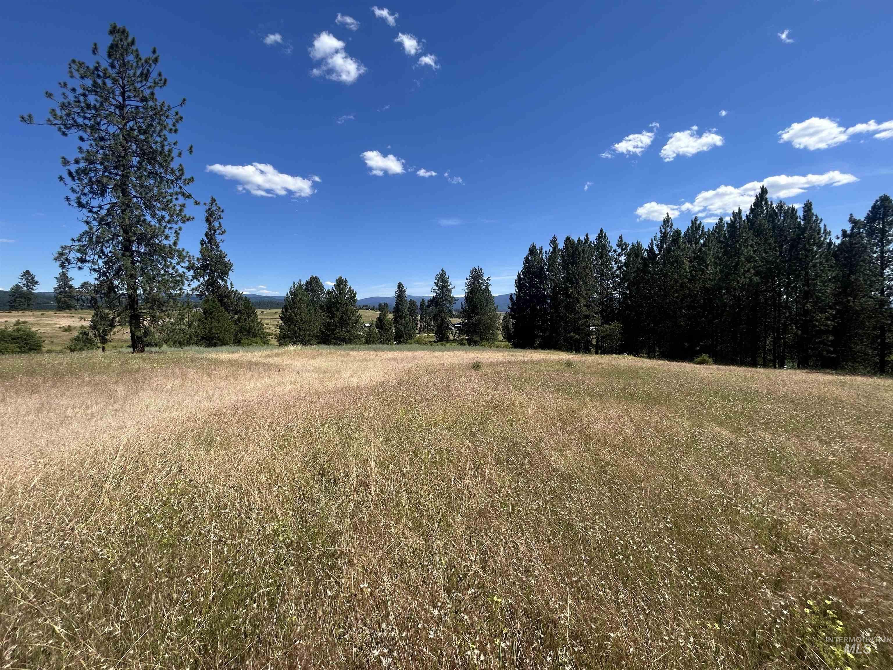 TBD Lot 2 Too Kush Road, Kooskia, Idaho 83539, Land For Sale, Price $150,000, 98992128
