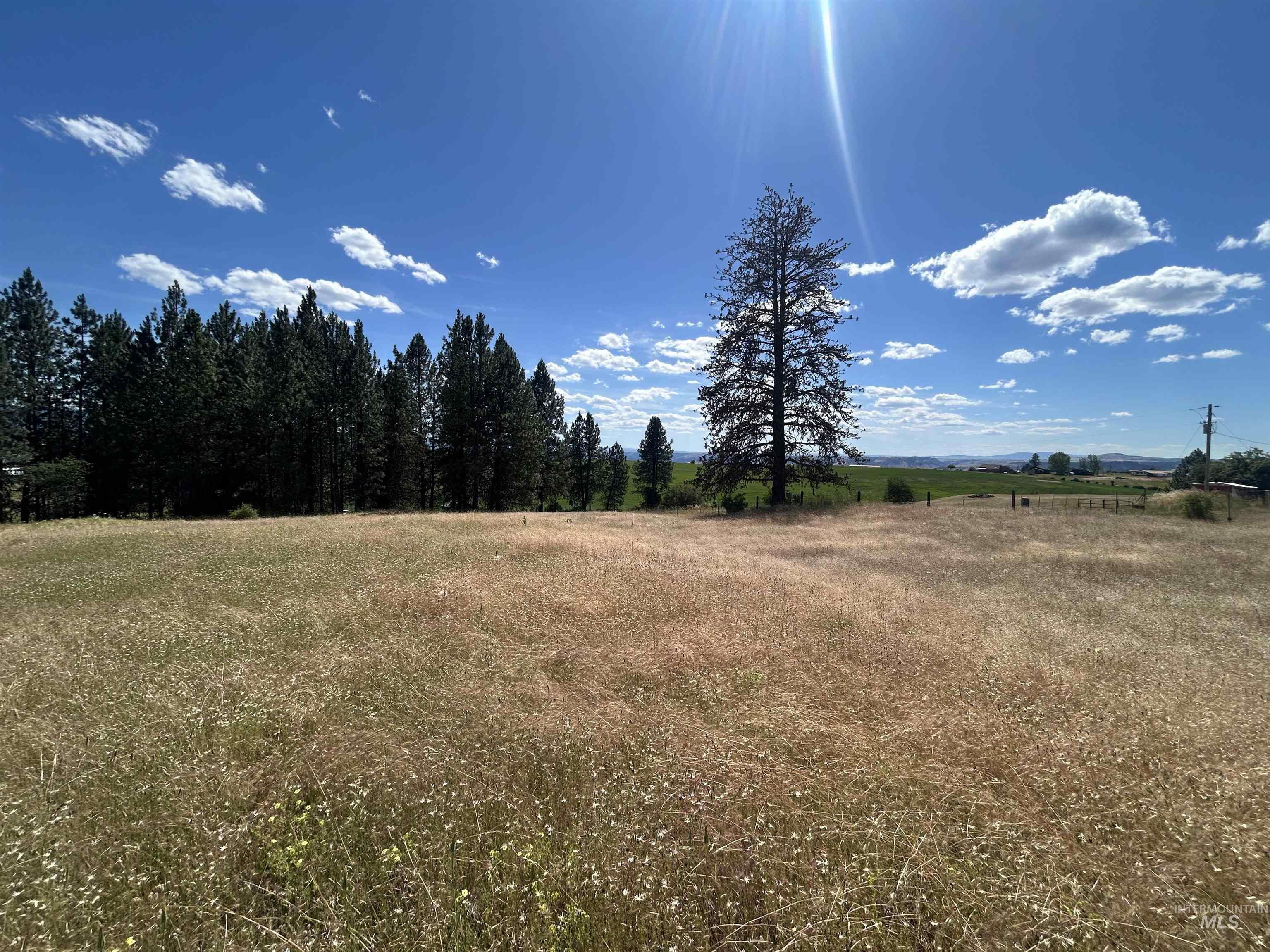 TBD Lot 2 Too Kush Road, Kooskia, Idaho 83539, Land For Sale, Price $150,000, 98992128