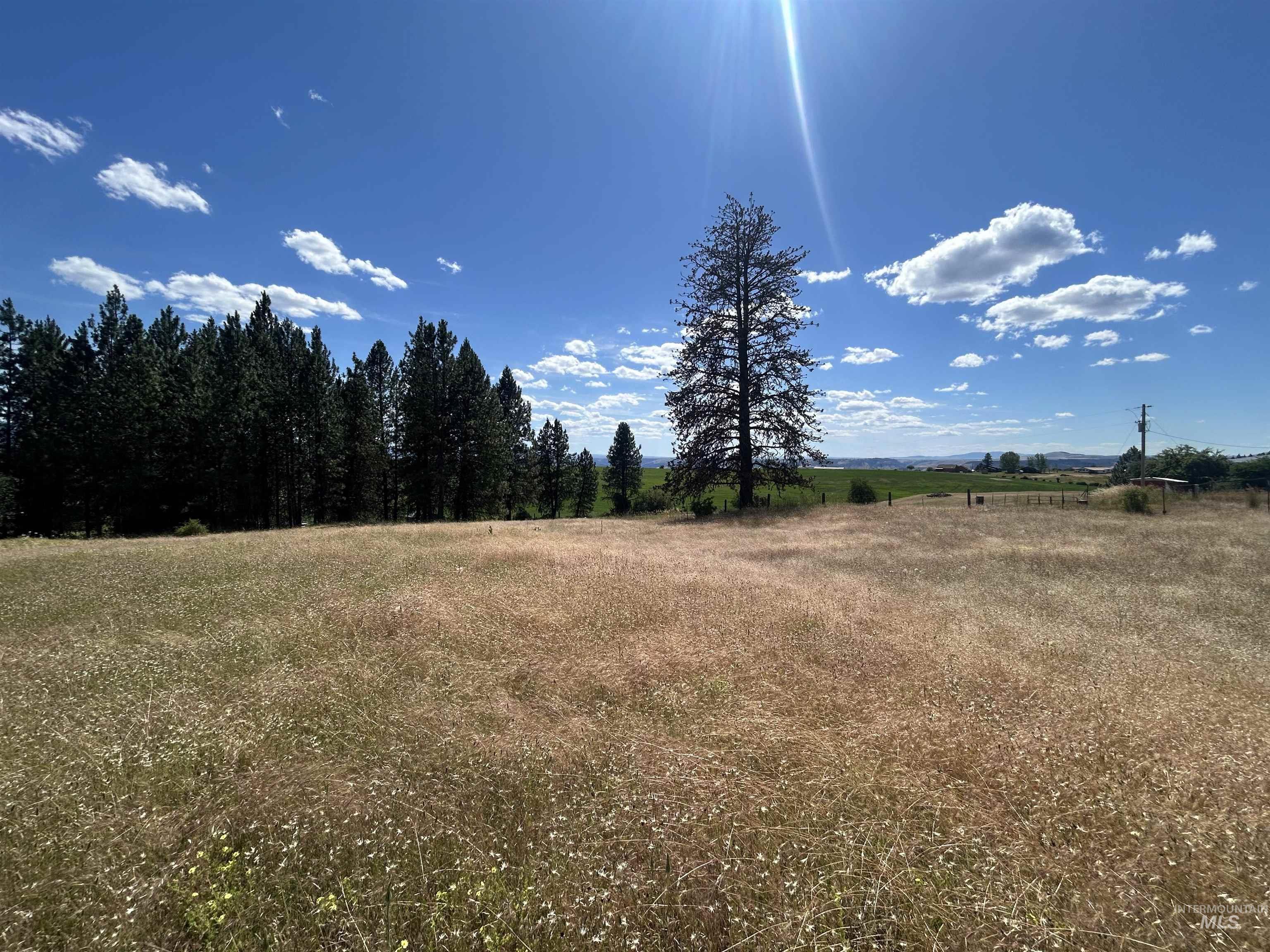 TBD Lot 2 Too Kush Road, Kooskia, Idaho 83539, Land For Sale, Price $150,000, 98992128