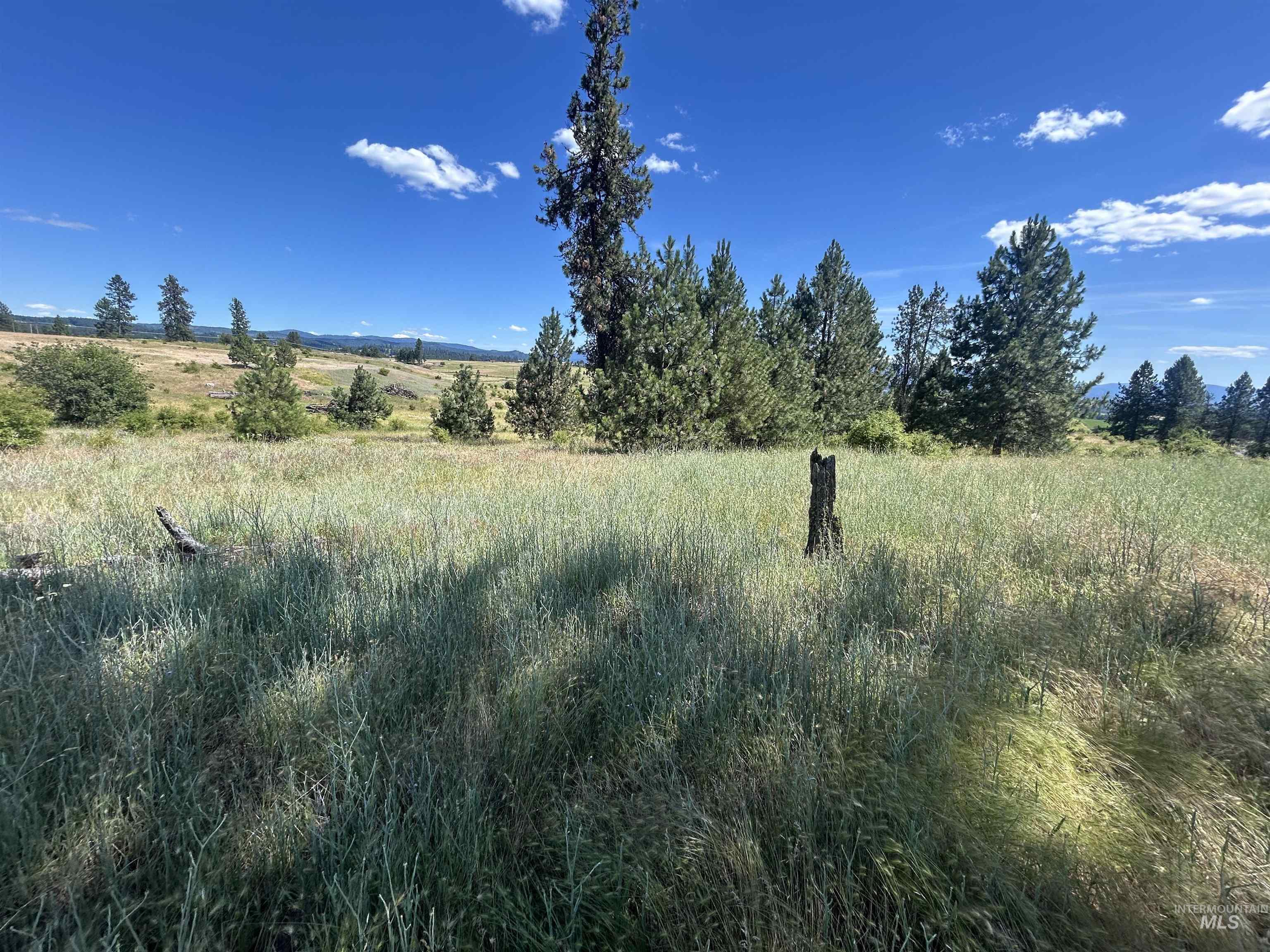 TBD Lot 2 Too Kush Road, Kooskia, Idaho 83539, Land For Sale, Price $150,000, 98992128