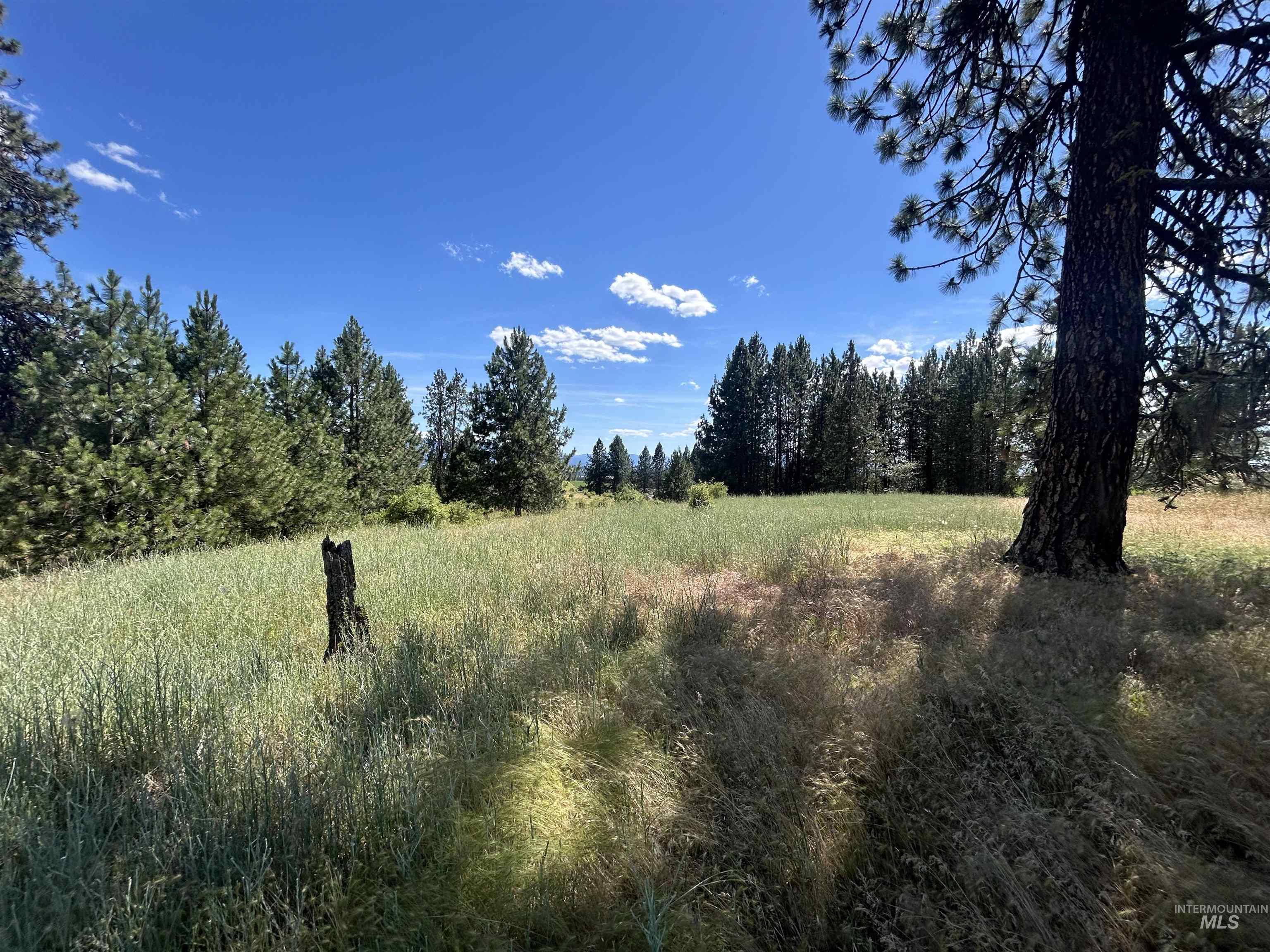 TBD Lot 2 Too Kush Road, Kooskia, Idaho 83539, Land For Sale, Price $150,000, 98992128
