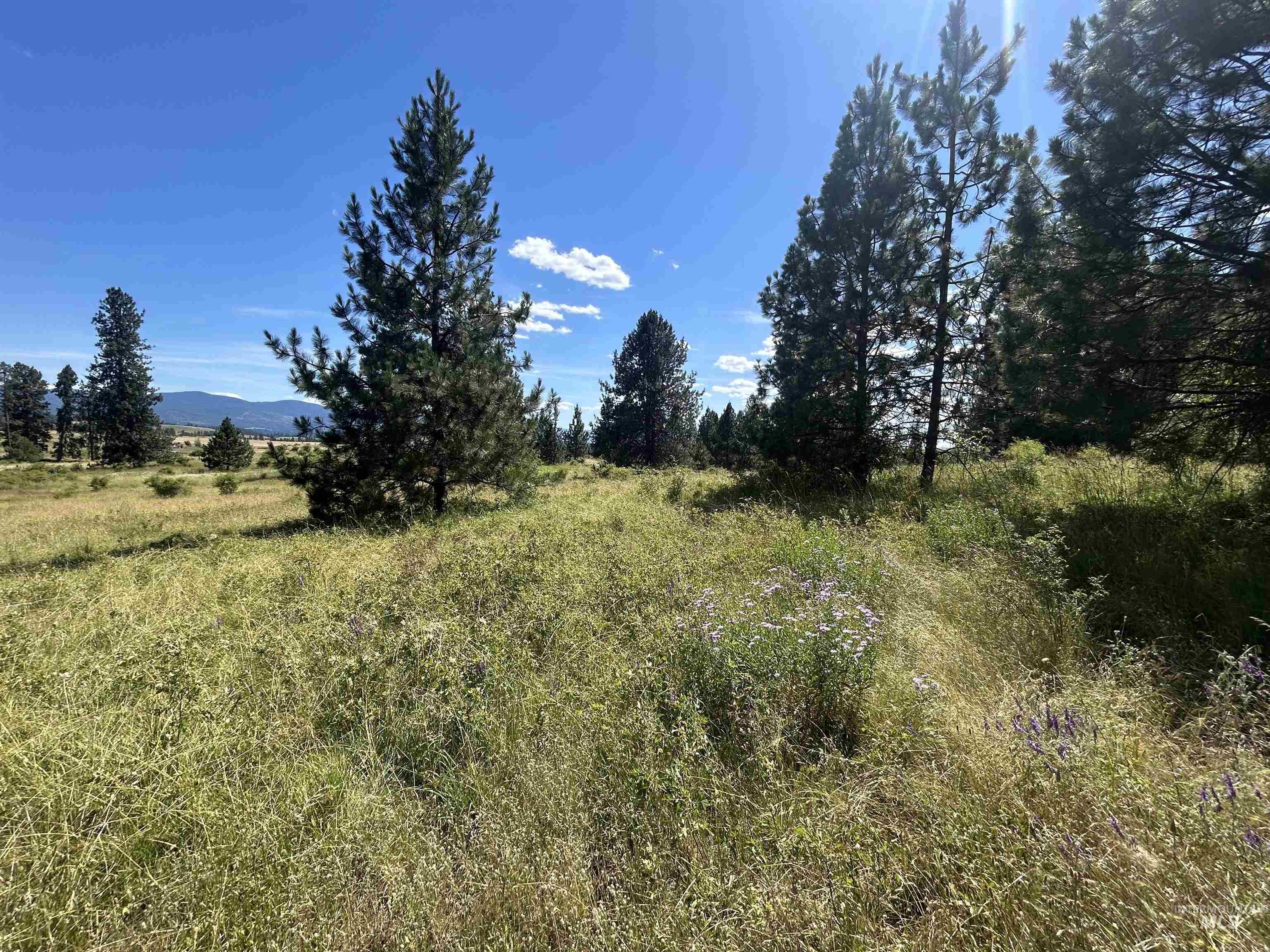 TBD Lot 2 Too Kush Road, Kooskia, Idaho 83539, Land For Sale, Price $150,000, 98992128