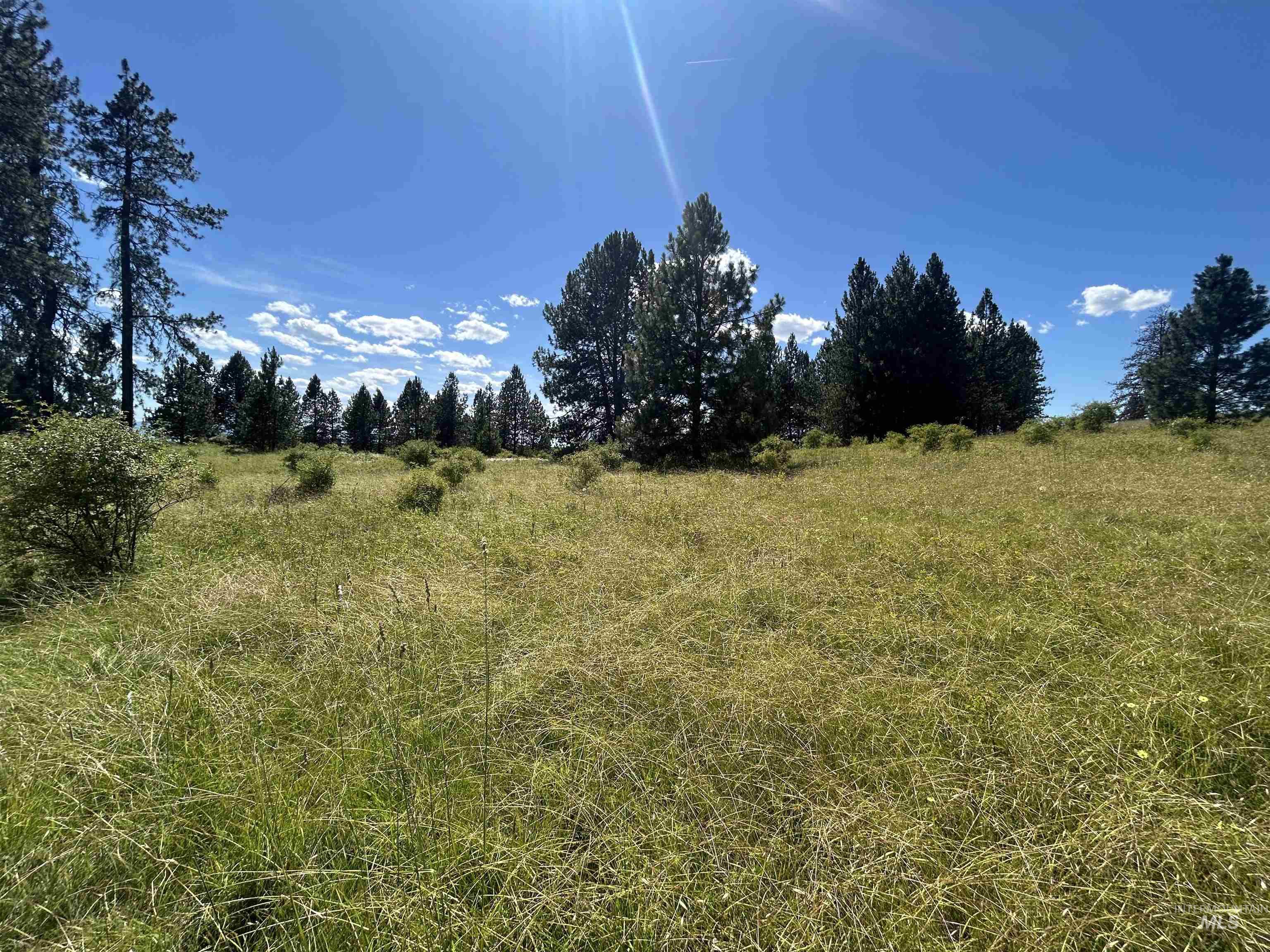 TBD Lot 1 Too Kush Road, Kooskia, Idaho 83539, Land For Sale, Price $150,000, 98992130