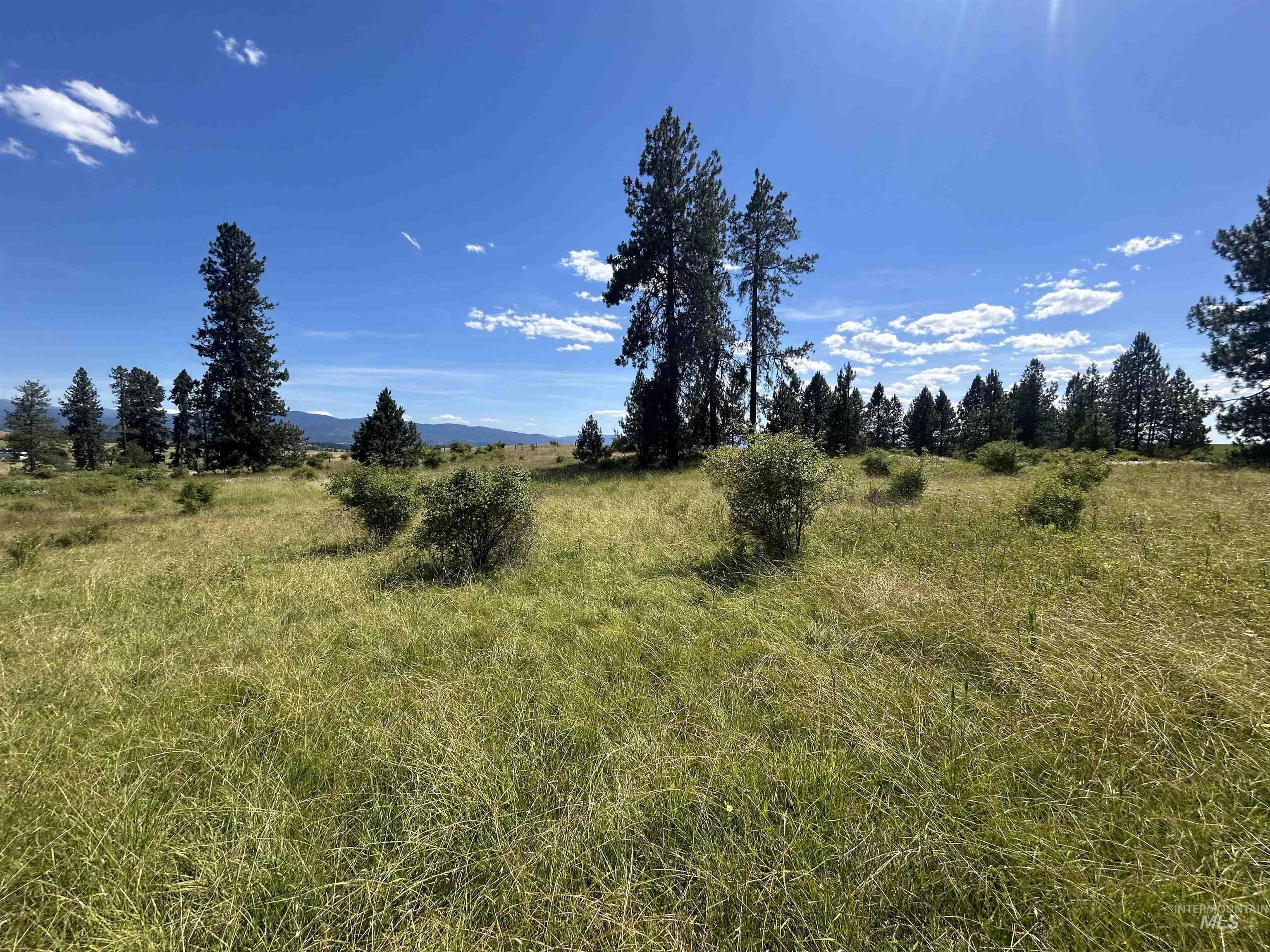 TBD Lot 1 Too Kush Road, Kooskia, Idaho 83539, Land For Sale, Price $150,000, 98992130