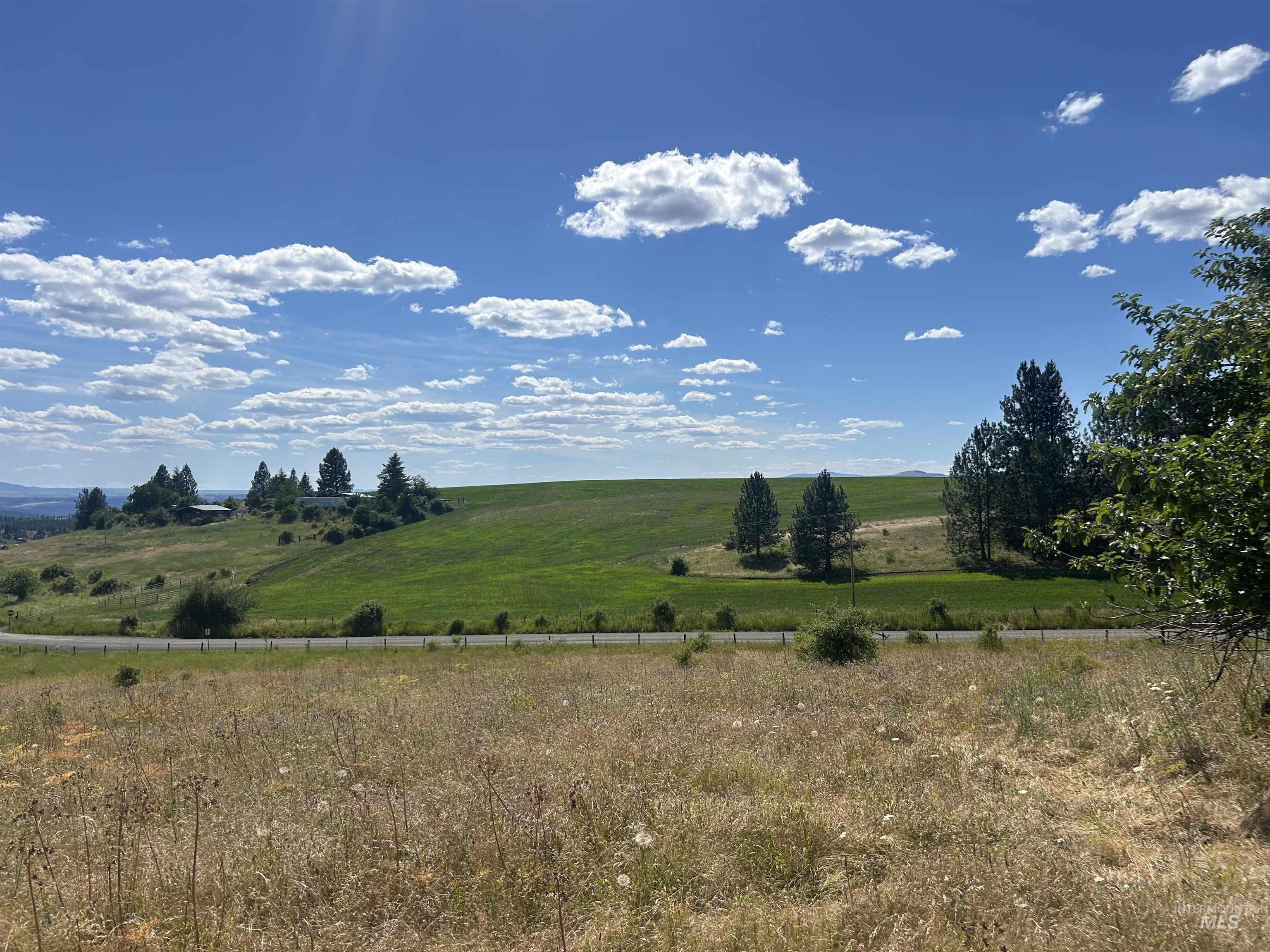 TBD Lot 1 Too Kush Road, Kooskia, Idaho 83539, Land For Sale, Price $150,000, 98992130