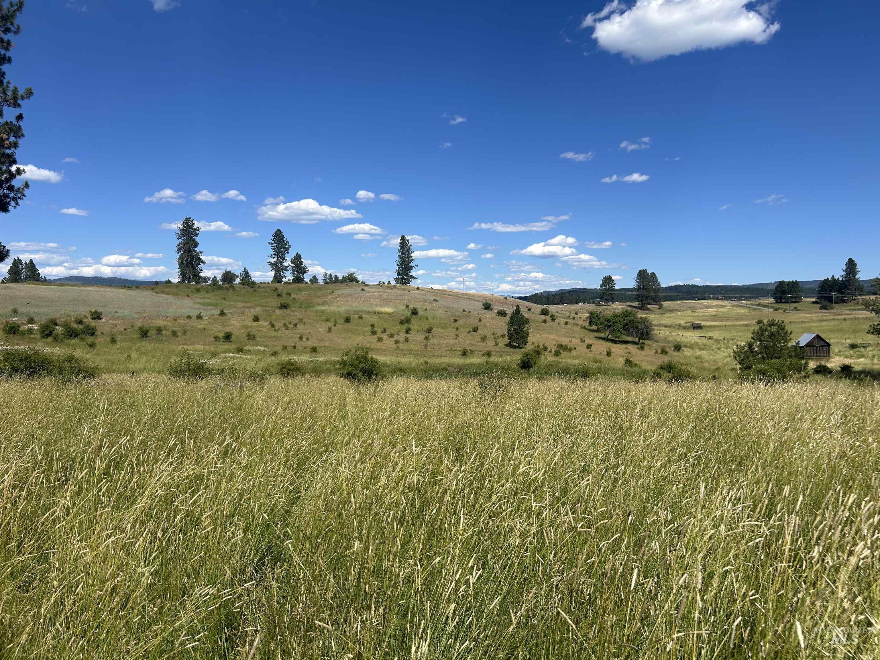 TBD Lot 1 Too Kush Road, Kooskia, Idaho 83539, Land For Sale, Price $150,000, 98992130