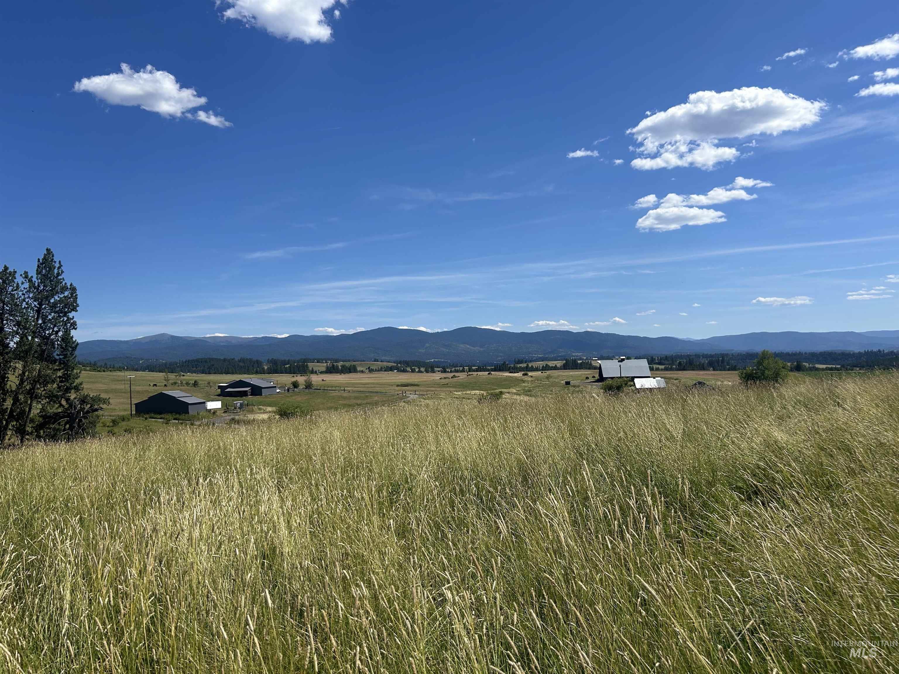 TBD Lot 1 Too Kush Road, Kooskia, Idaho 83539, Land For Sale, Price $150,000, 98992130