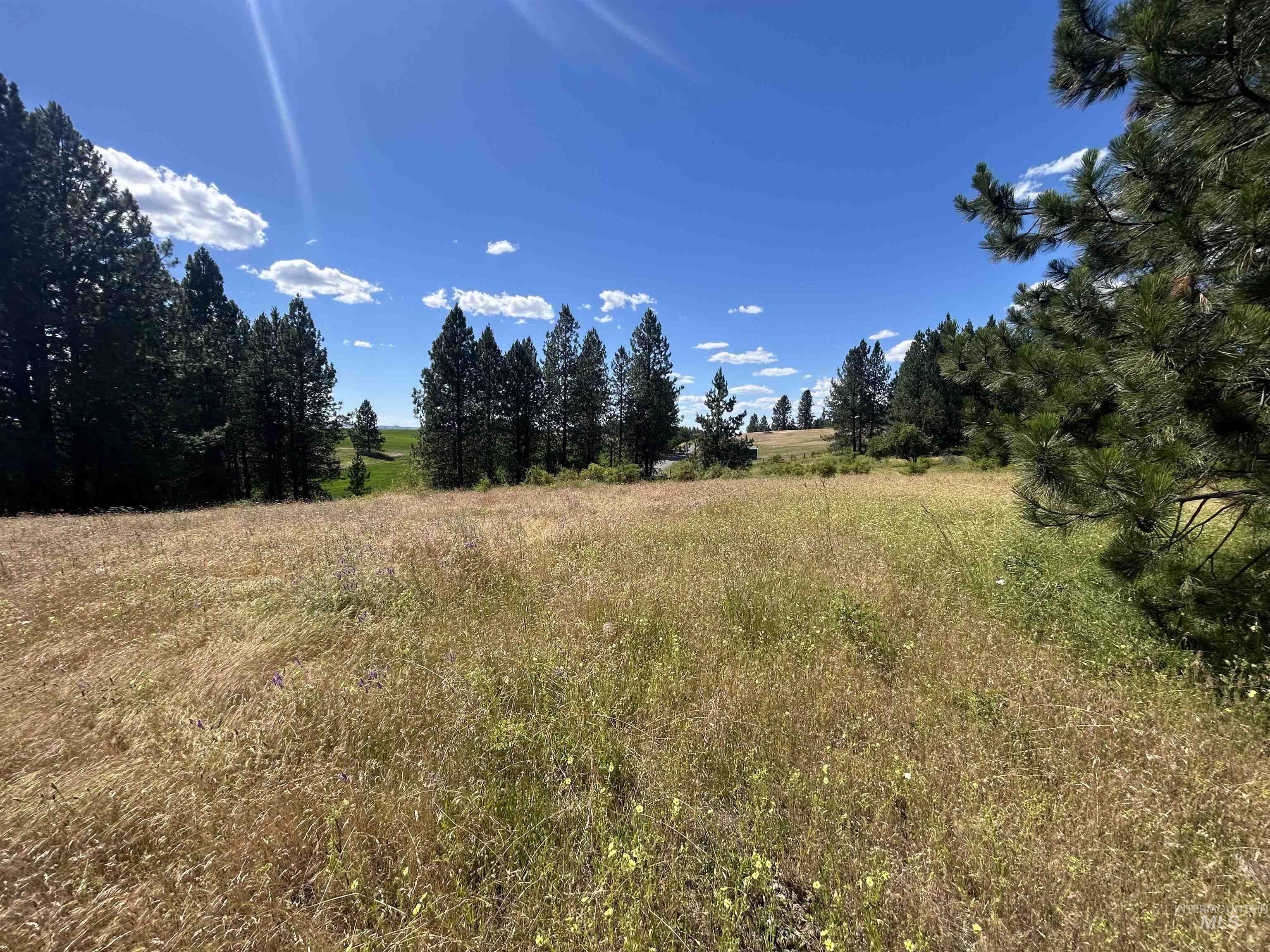 TBD Lot 1 Too Kush Road, Kooskia, Idaho 83539, Land For Sale, Price $150,000, 98992130