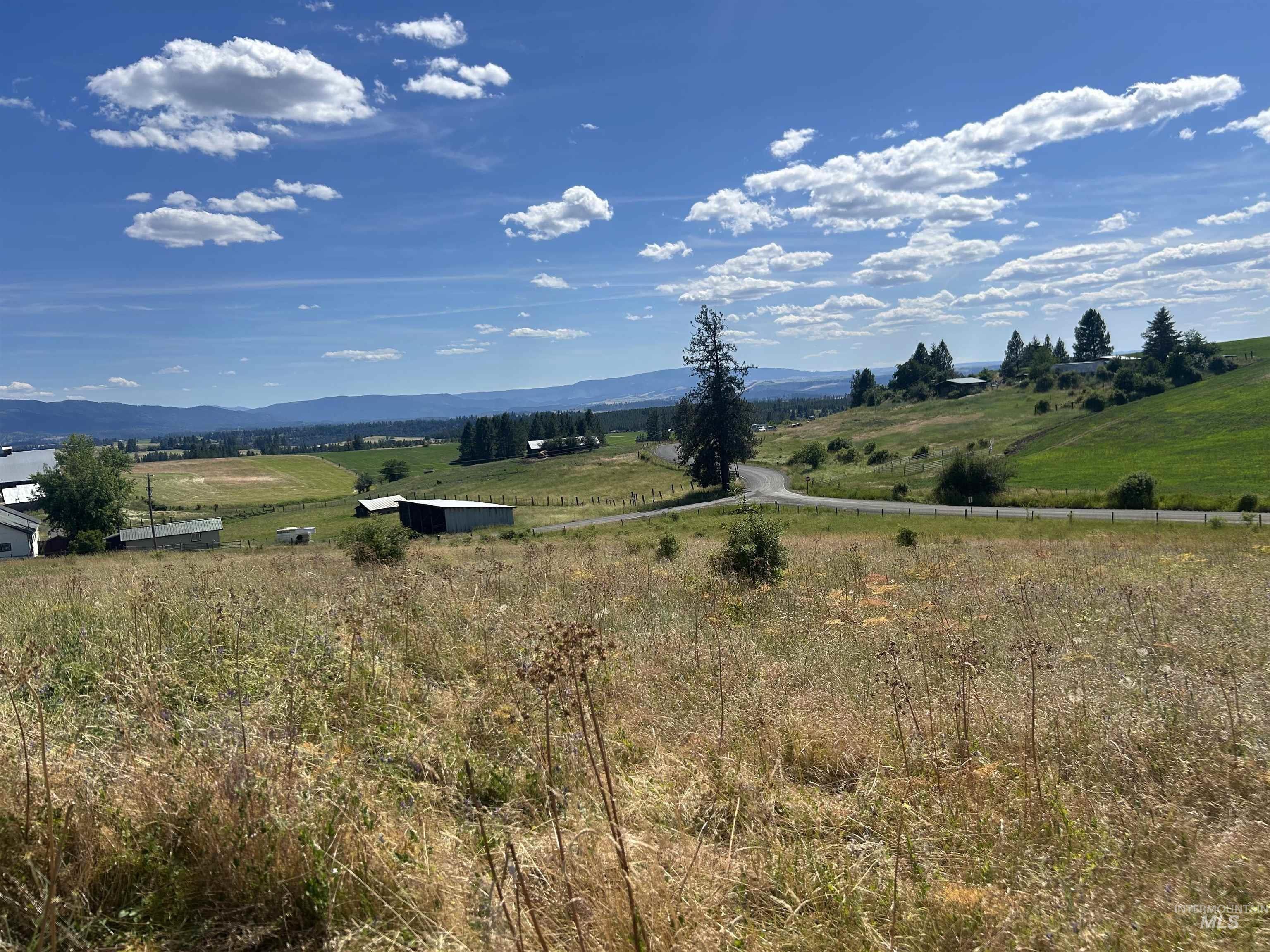 TBD Lot 1 Too Kush Road, Kooskia, Idaho 83539, Land For Sale, Price $150,000, 98992130