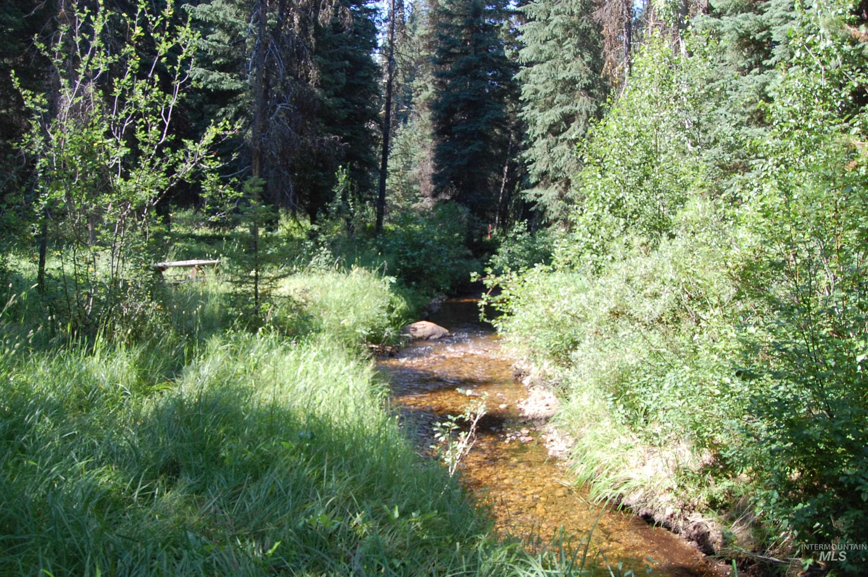TBD Morell Road, McCall, Idaho 83638, Land For Sale, Price $550,000, 98992150