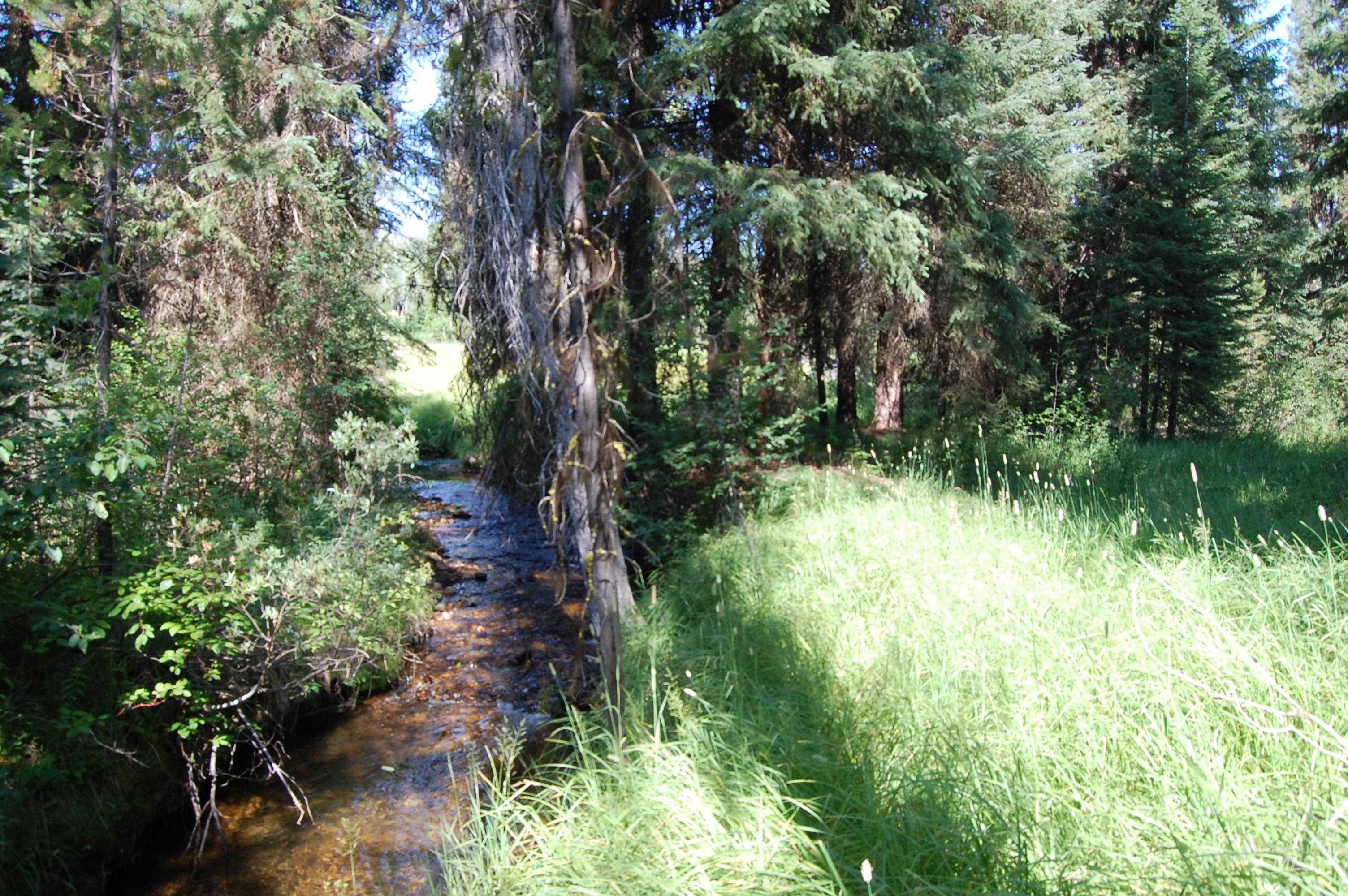 TBD Morell Road, McCall, Idaho 83638, Land For Sale, Price $550,000, 98992150