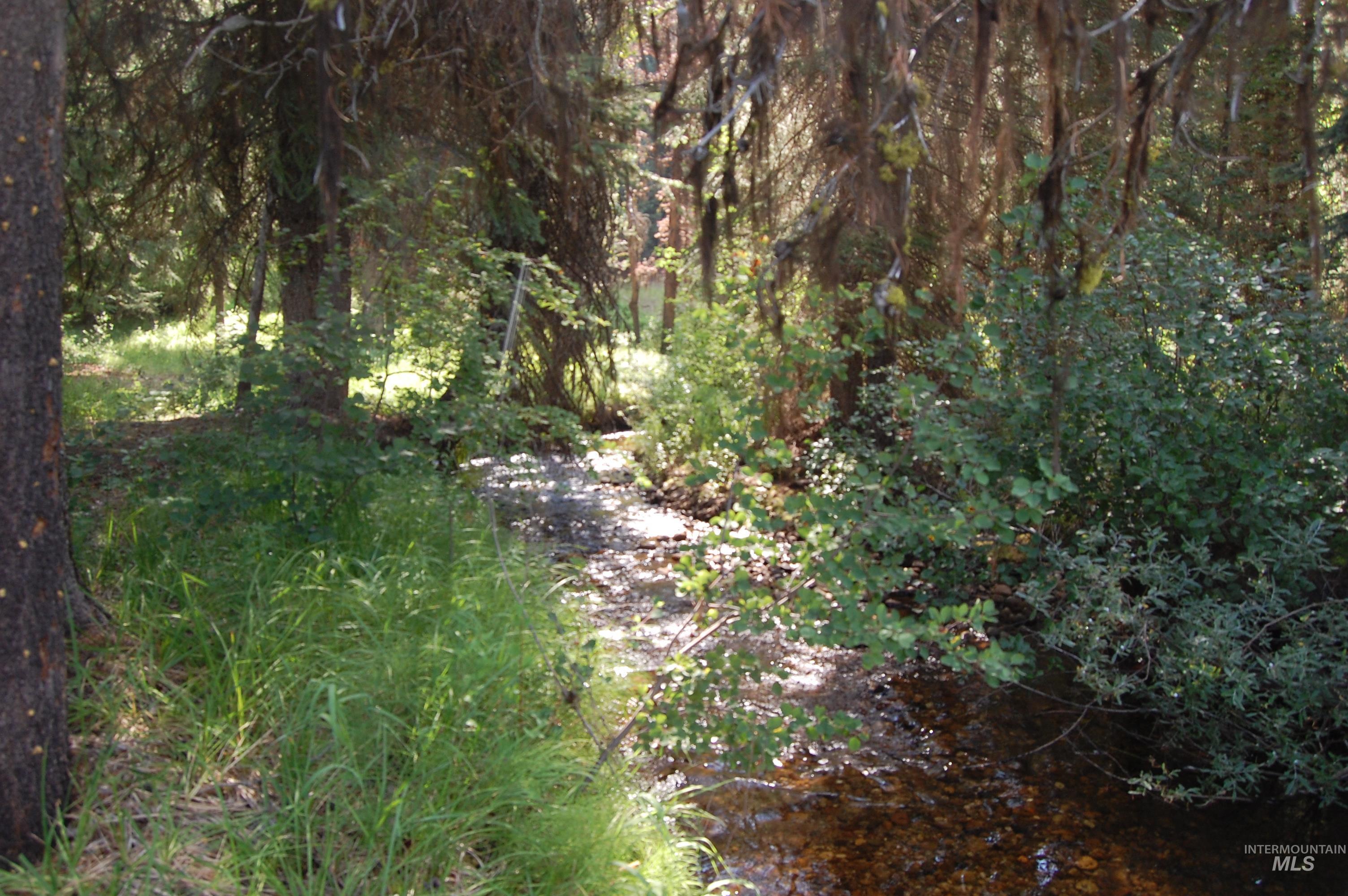 TBD Morell Road, McCall, Idaho 83638, Land For Sale, Price $550,000, 98992150