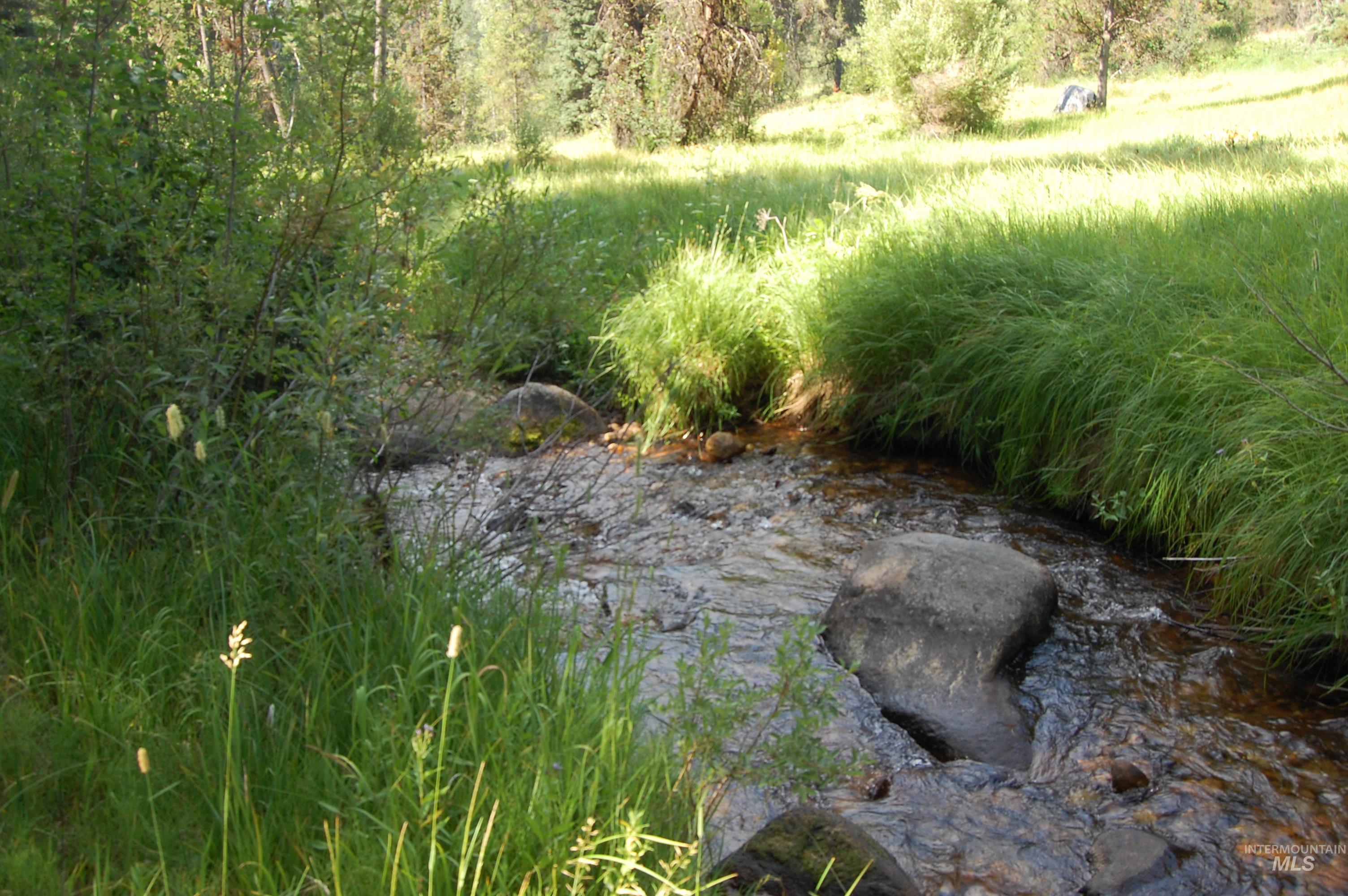 TBD Morell Road, McCall, Idaho 83638, Land For Sale, Price $550,000, 98992150