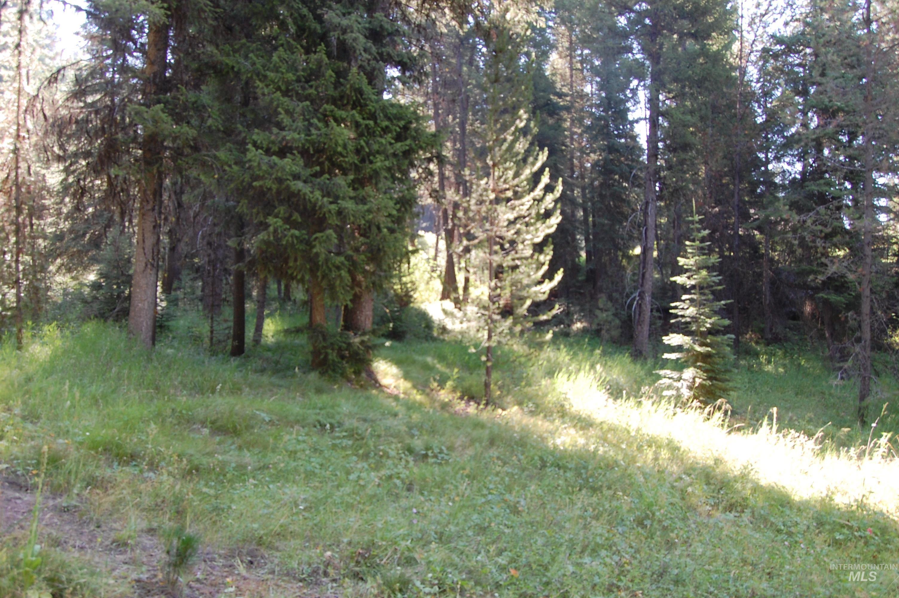 TBD Morell Road, McCall, Idaho 83638, Land For Sale, Price $550,000, 98992150