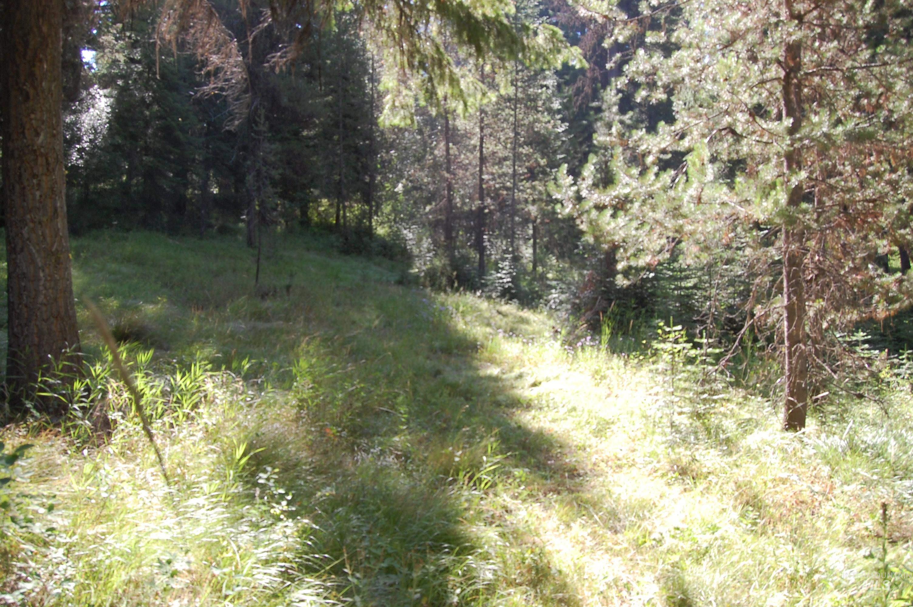 TBD Morell Road, McCall, Idaho 83638, Land For Sale, Price $550,000, 98992150