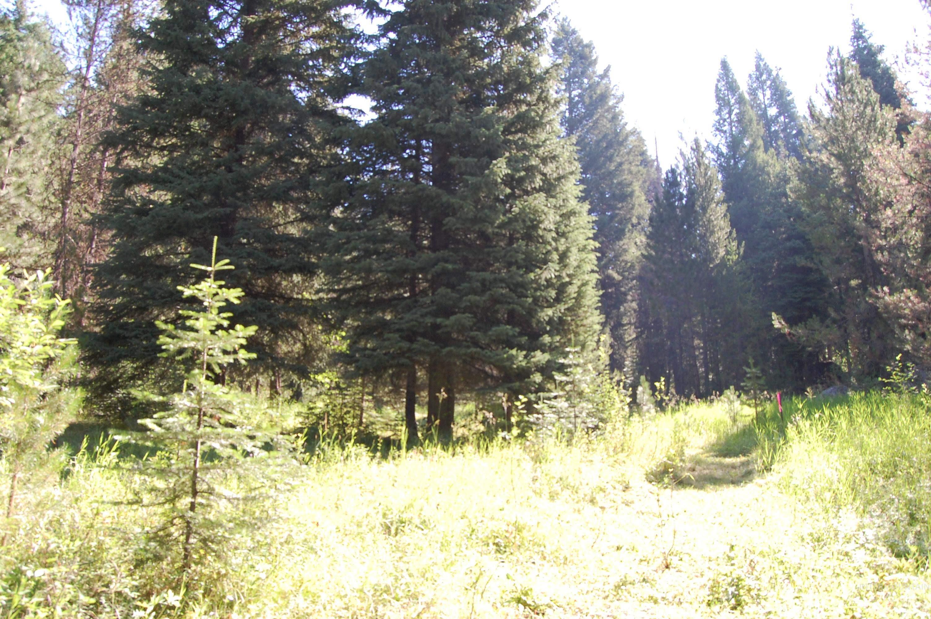 TBD Morell Road, McCall, Idaho 83638, Land For Sale, Price $550,000, 98992150
