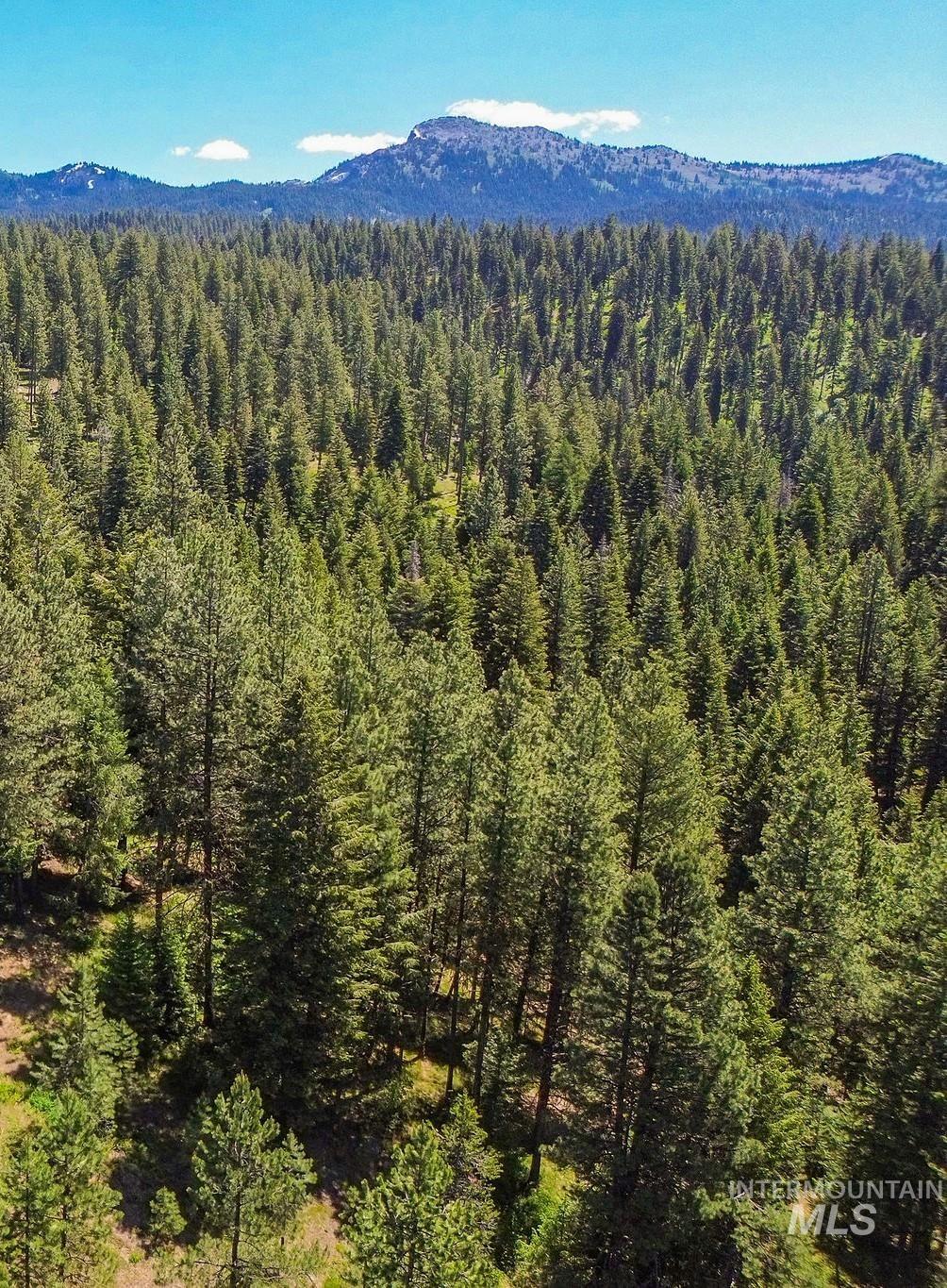 TBD Morell Road, McCall, Idaho 83638, Land For Sale, Price $550,000, 98992150