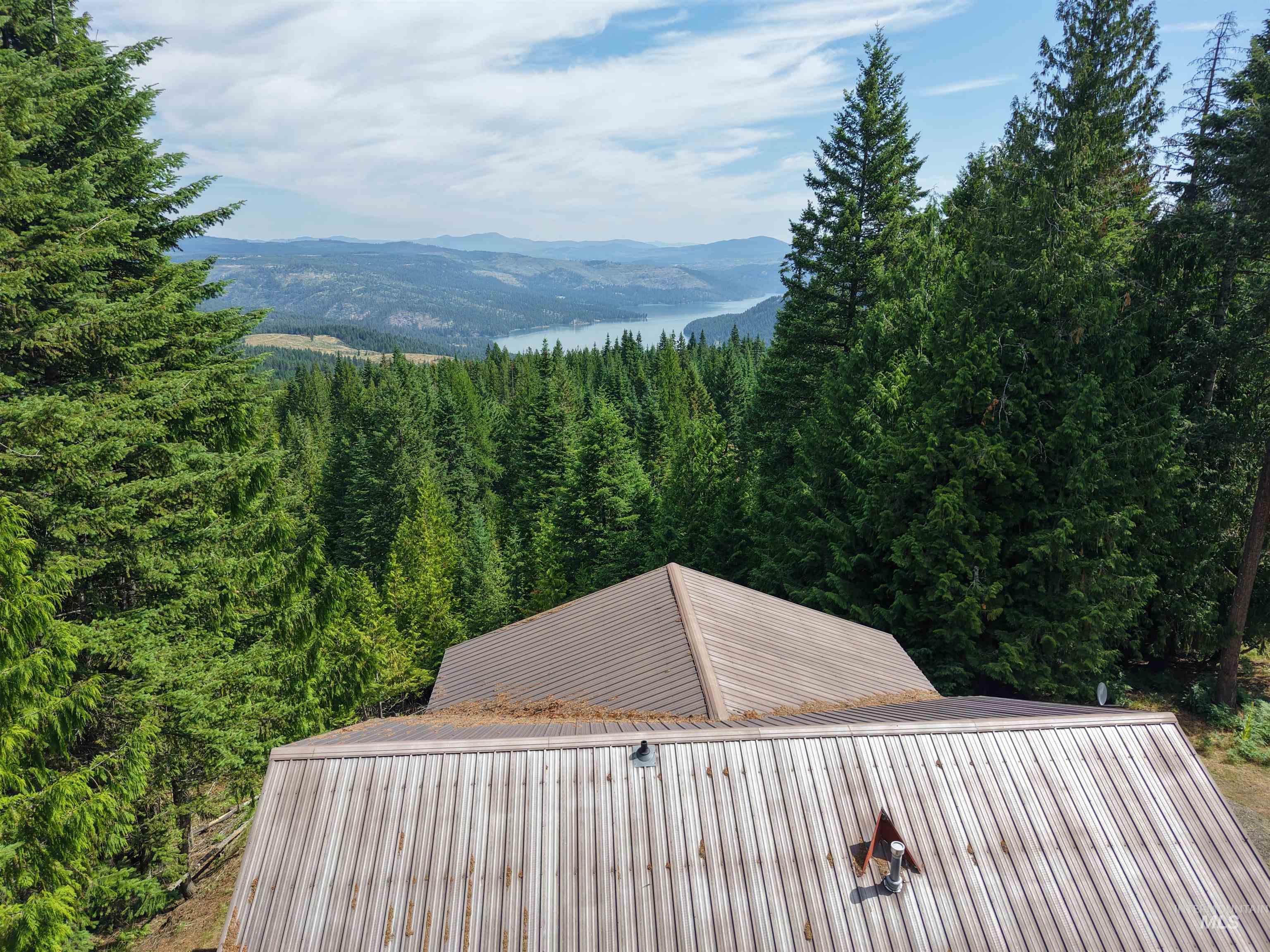 6125 Freeman Creek Rd, Lenore, Idaho 83541, 3 Bedrooms, 2.5 Bathrooms, Residential For Sale, Price $739,000,MLS 98992171