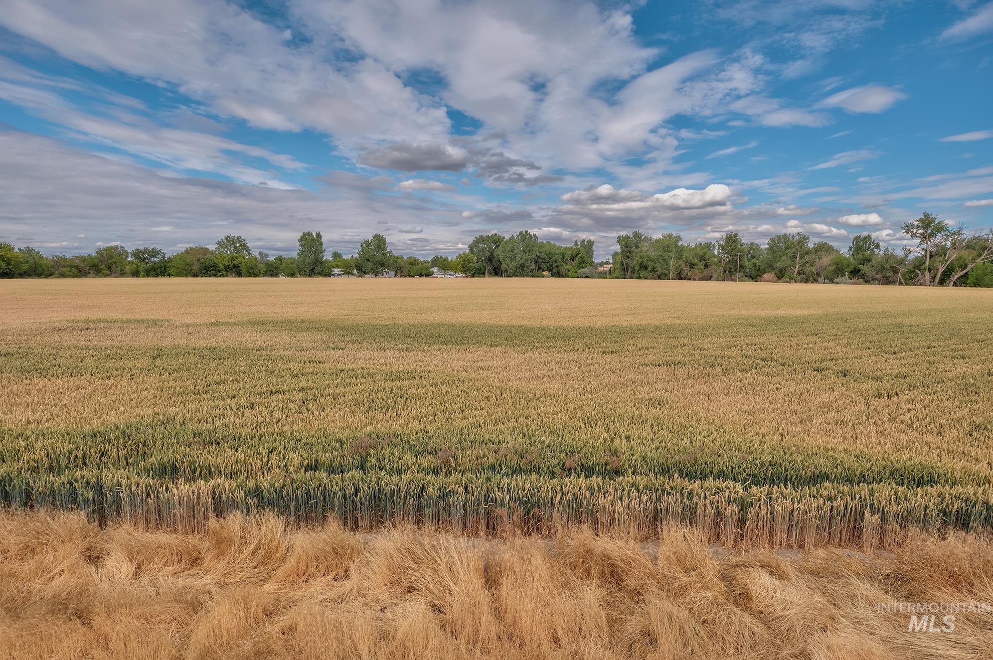 3881 E Island Rd, Ontario, Oregon 97914, 4 Bedrooms, 2.5 Bathrooms, Farm & Ranch For Sale, Price $1,100,000, 98992218