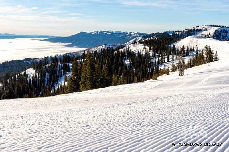 15 Aspen Glade Court, Donnelly, Idaho 83615, Land For Sale, Price $499,000,MLS 98992226