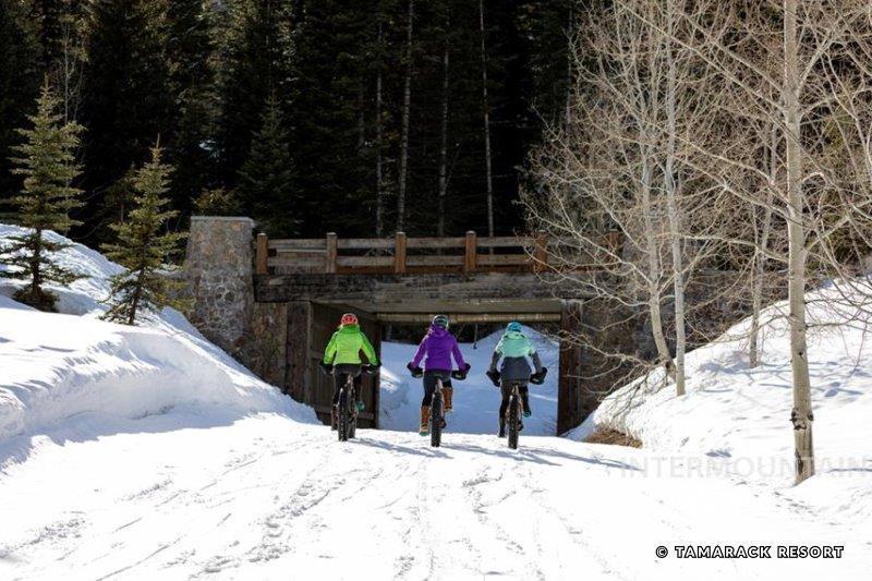 15 Aspen Glade Court, Donnelly, Idaho 83615, Land For Sale, Price $499,000,MLS 98992226