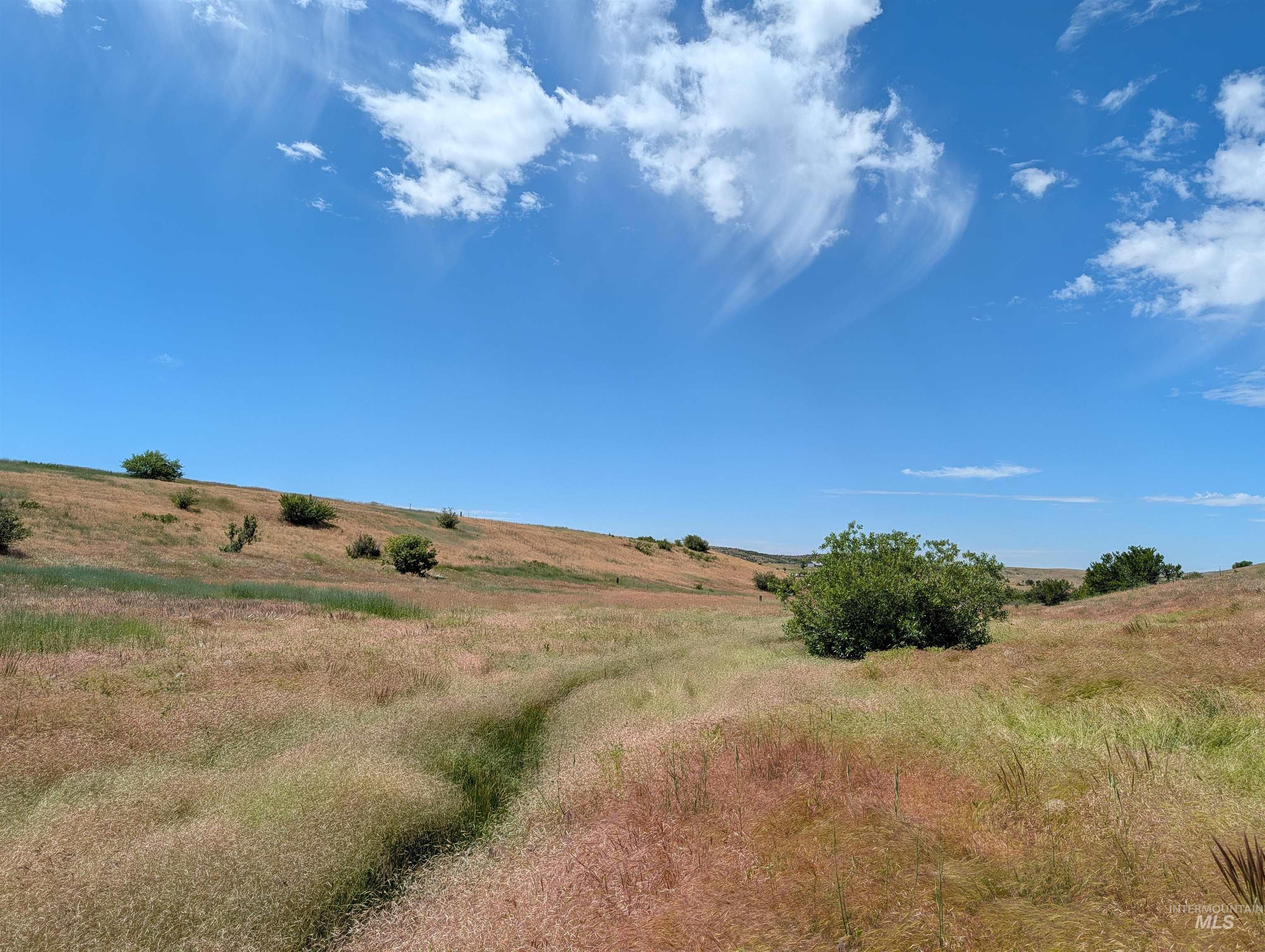 2187 Apple Lane, Mesa, Idaho 83643, Land For Sale, Price $235,000,MLS 98992229
