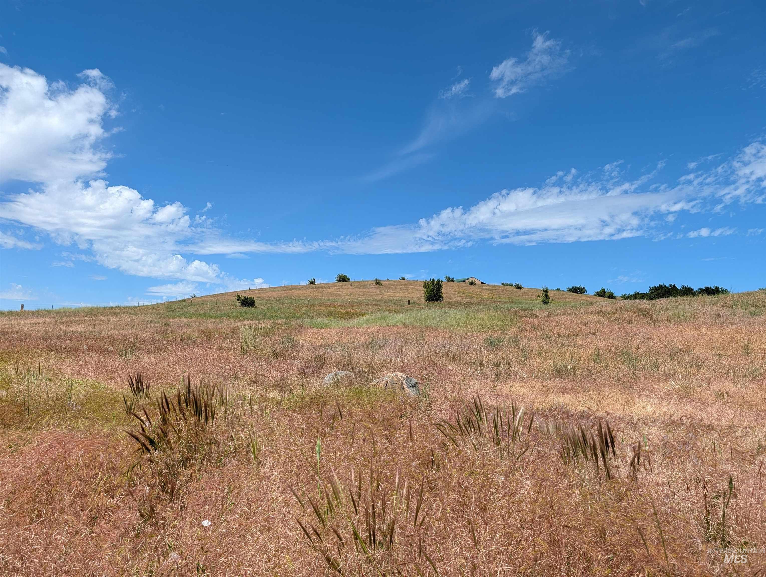 2187 Apple Lane, Mesa, Idaho 83643, Land For Sale, Price $235,000,MLS 98992229