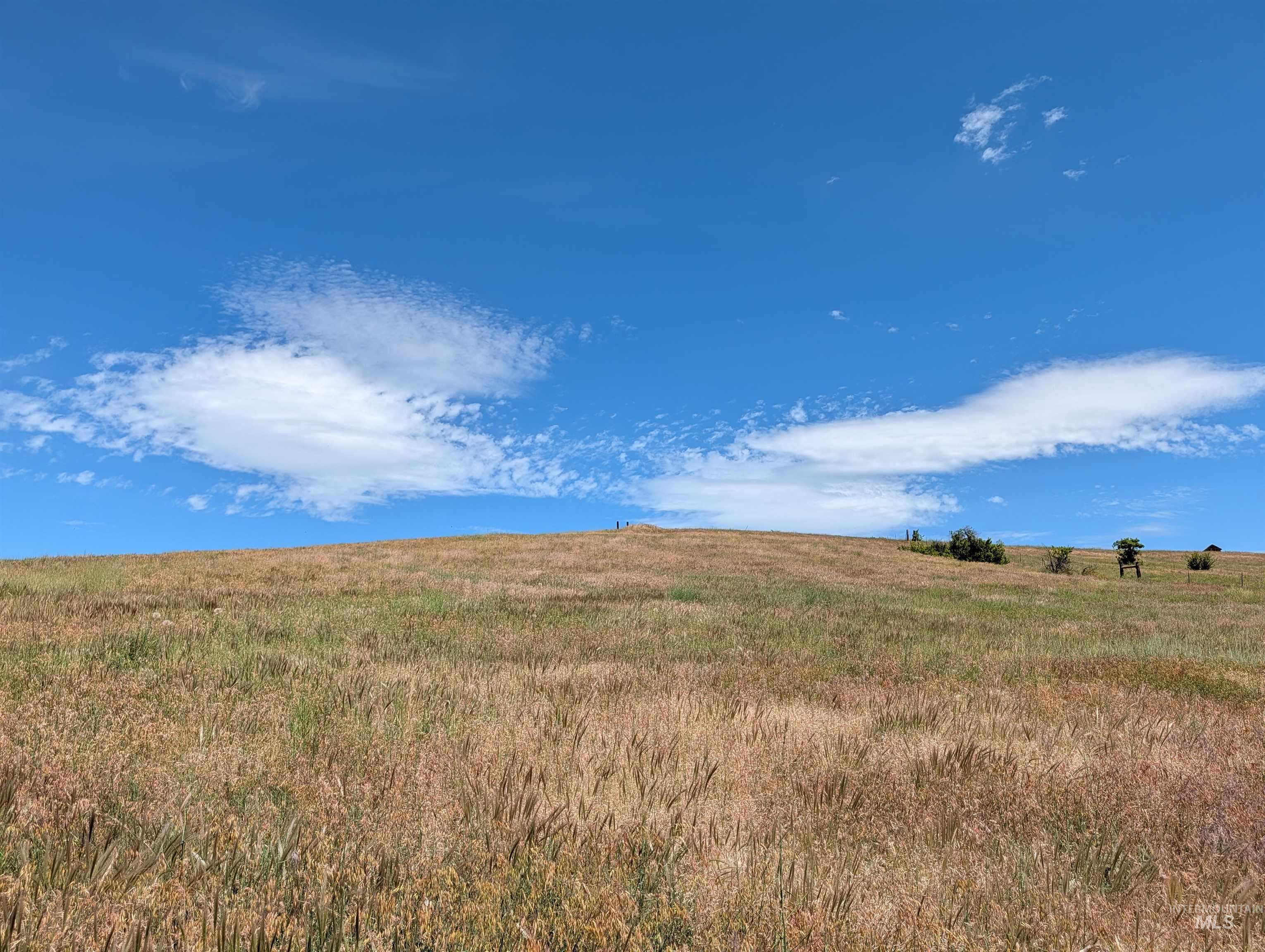 2187 Apple Lane, Mesa, Idaho 83643, Land For Sale, Price $235,000,MLS 98992229