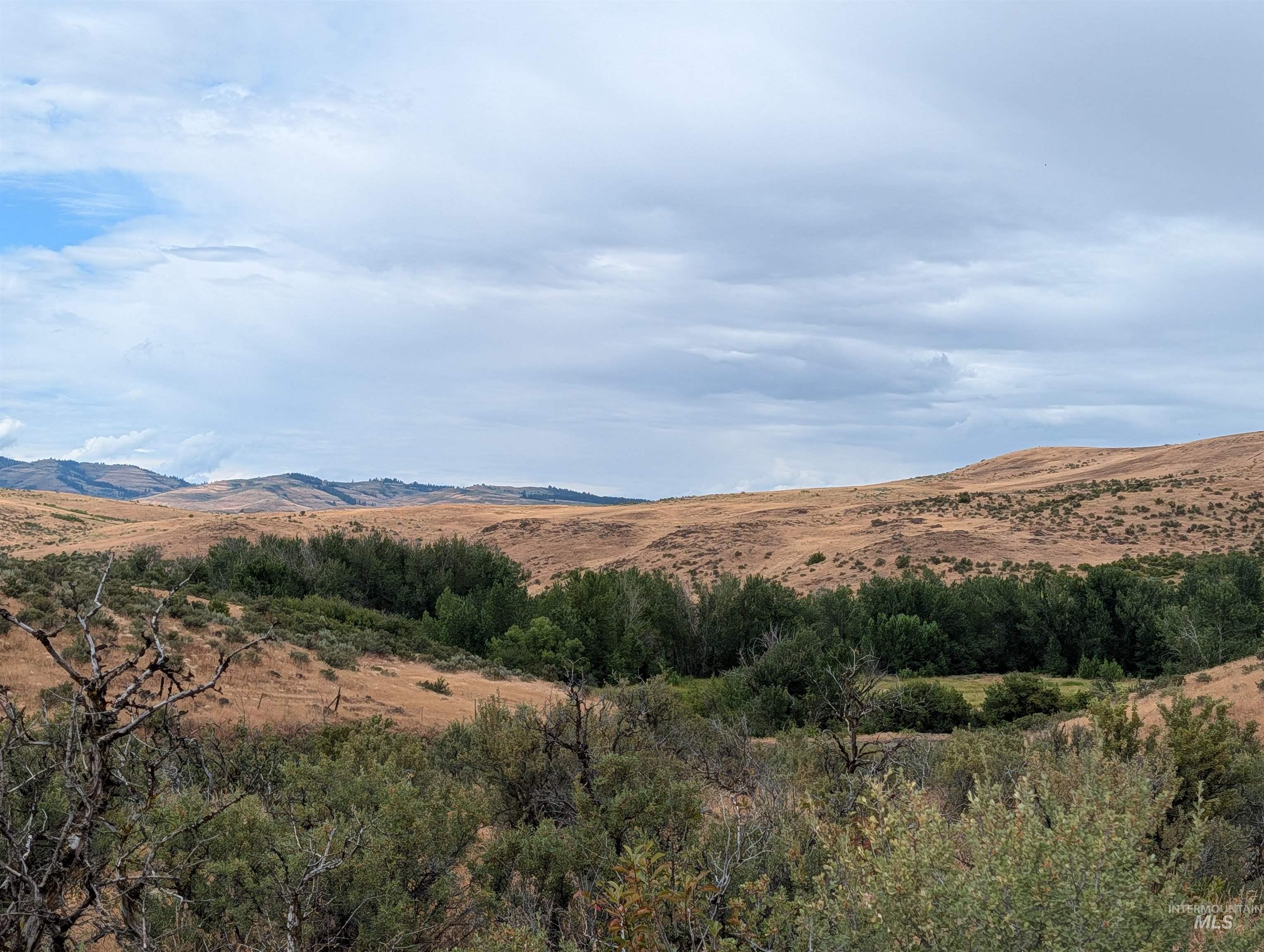 TBD Shaw Lane, Council, Idaho 83612, Land For Sale, Price $144,900,MLS 98992230