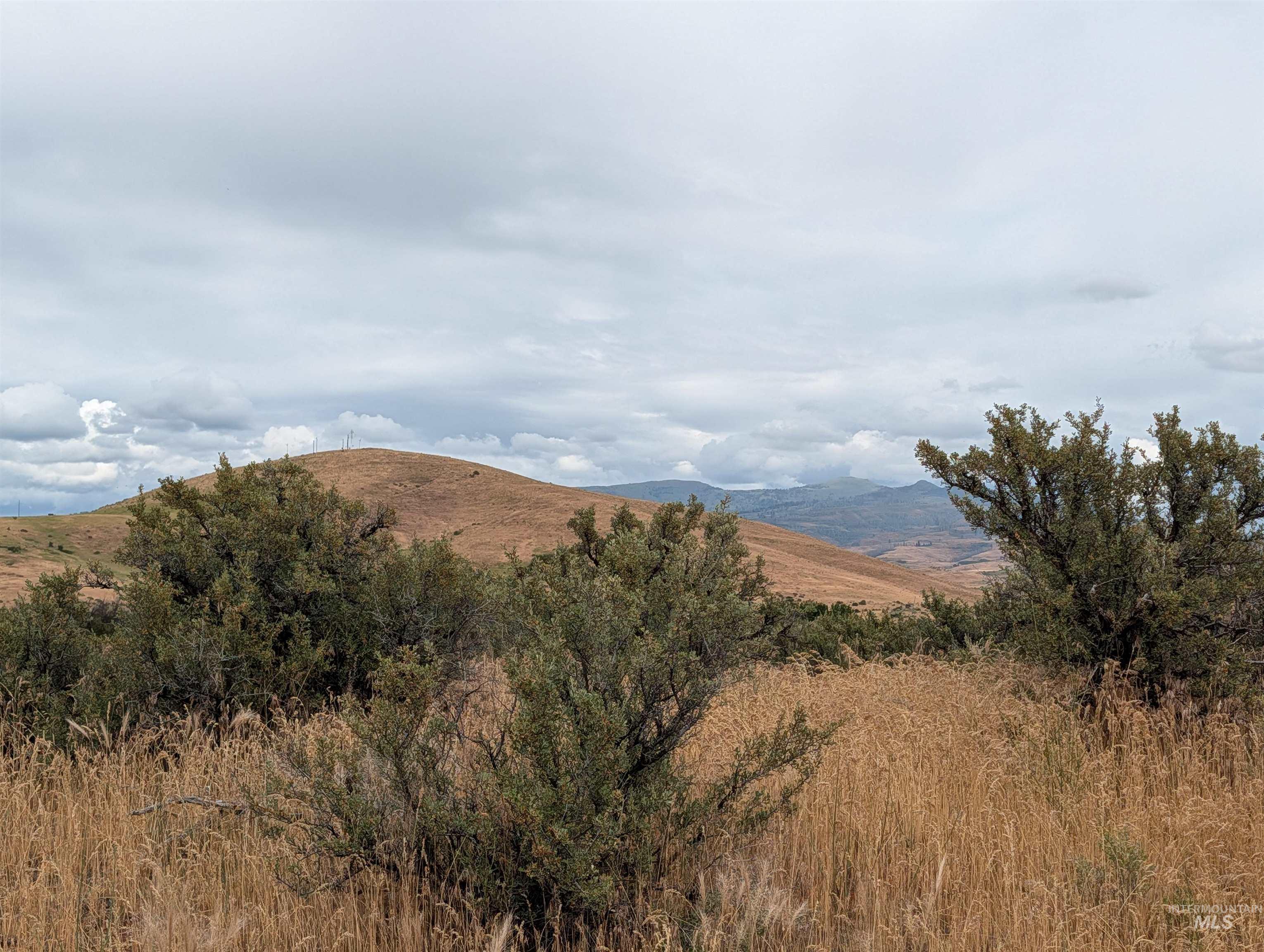 TBD Shaw Lane, Council, Idaho 83612, Land For Sale, Price $144,900,MLS 98992230