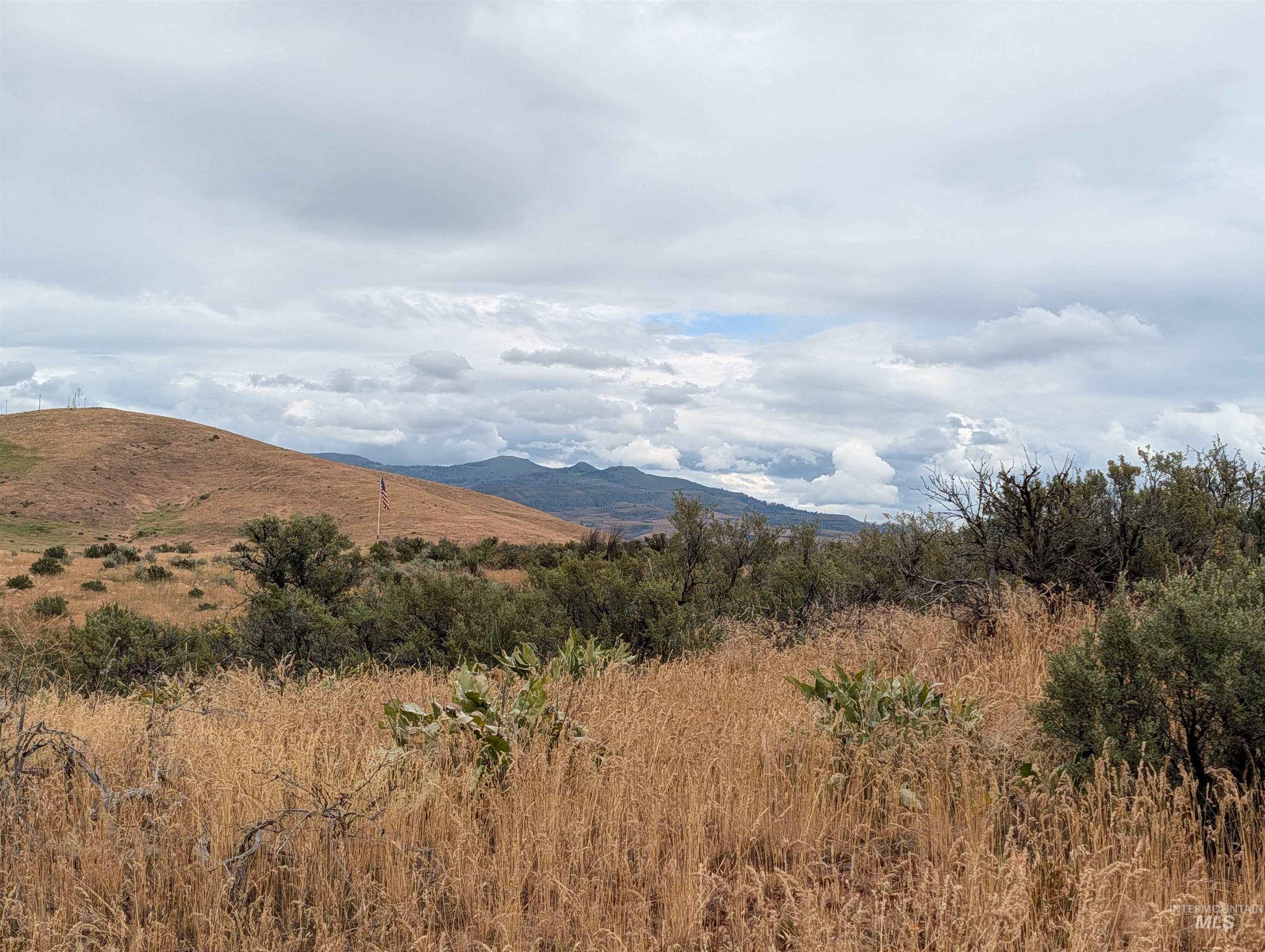 TBD Shaw Lane, Council, Idaho 83612, Land For Sale, Price $144,900,MLS 98992230