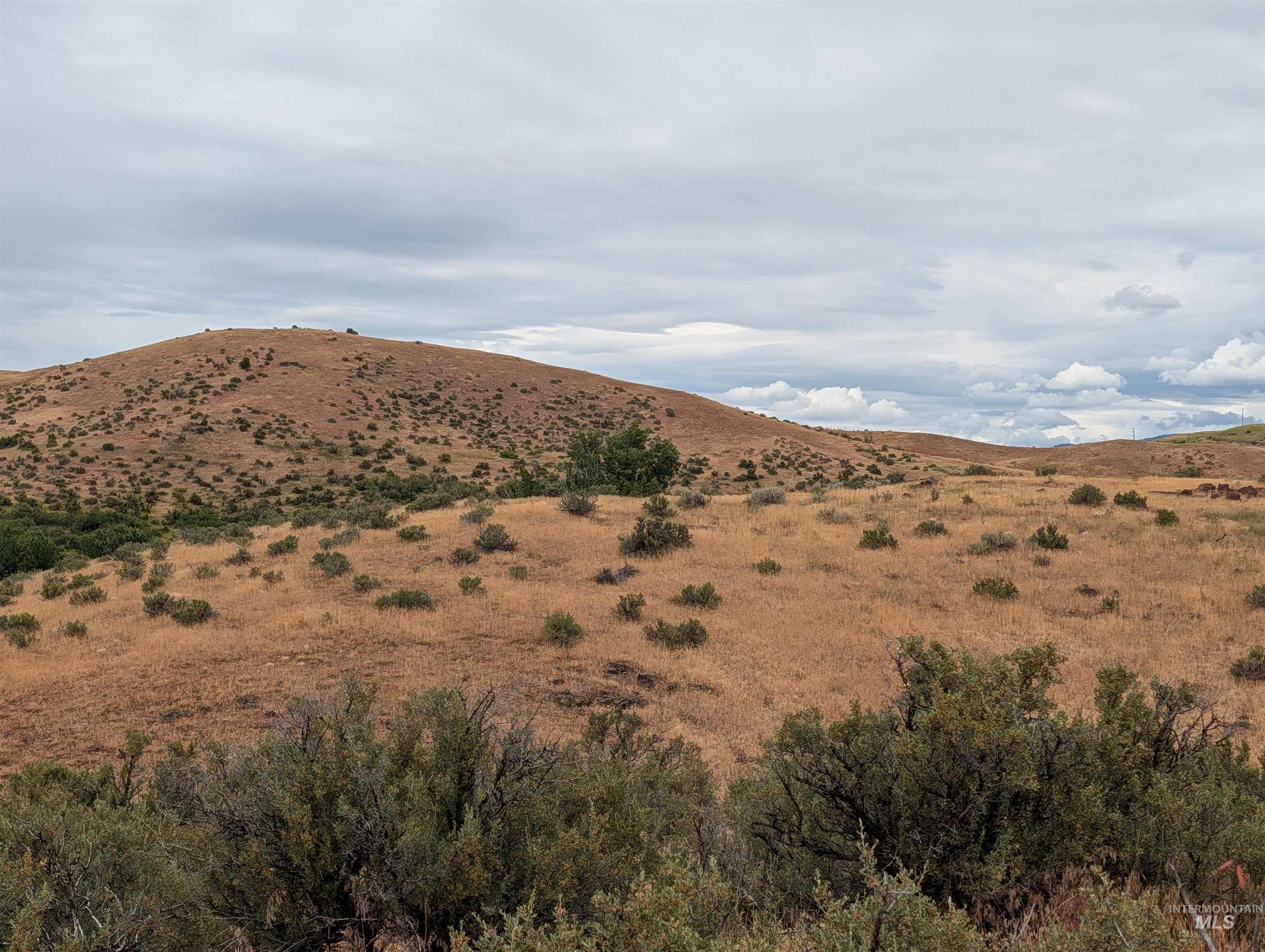 TBD Shaw Lane, Council, Idaho 83612, Land For Sale, Price $144,900,MLS 98992230