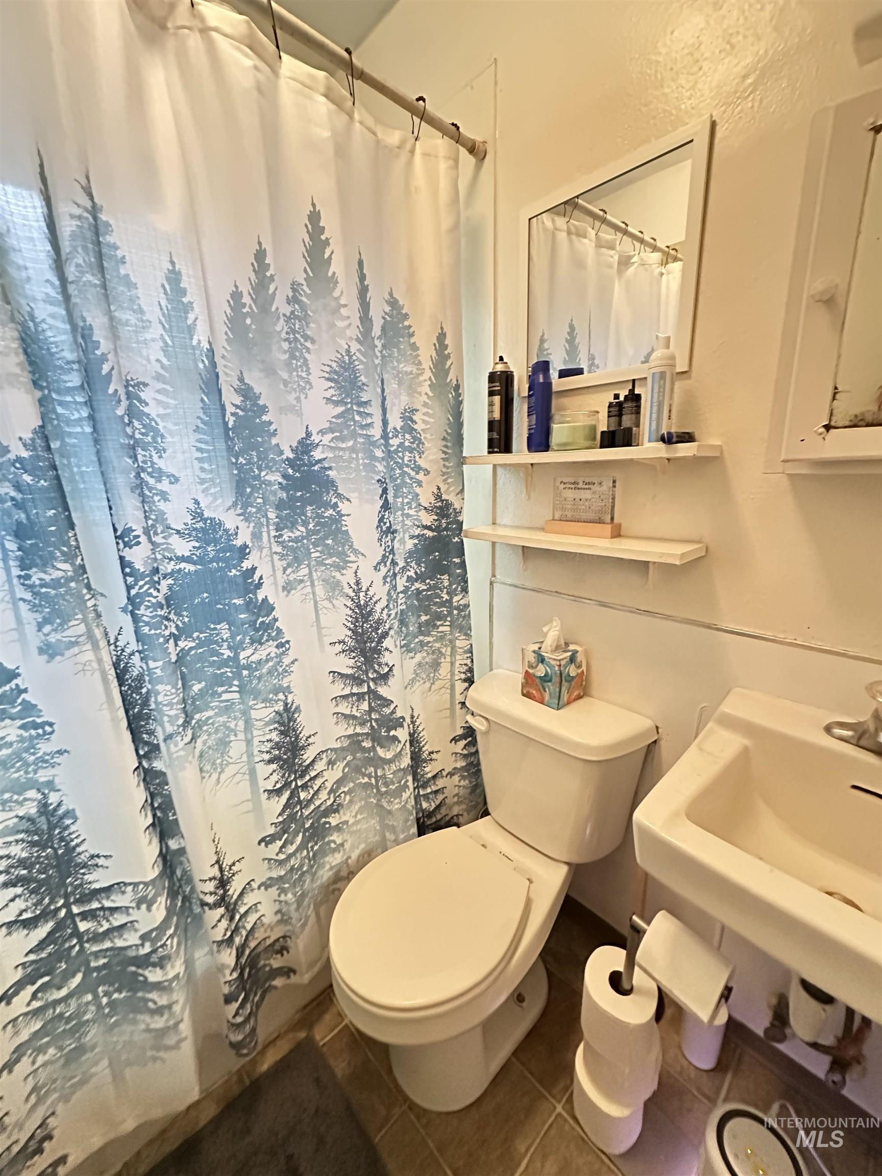 102-110 S Asbury St, Moscow, Idaho 83843, 2 Bedrooms, 1 Bathroom, Residential Income For Sale, Price $570,000,MLS 98992241