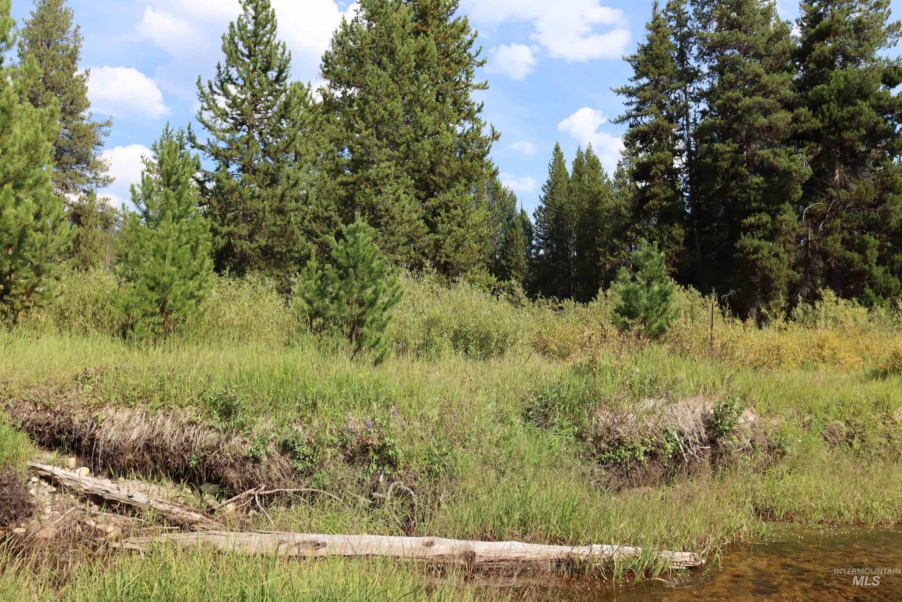 L49 Secesh River Road, McCall, Idaho 83638, Land For Sale, Price $225,000, 98992255