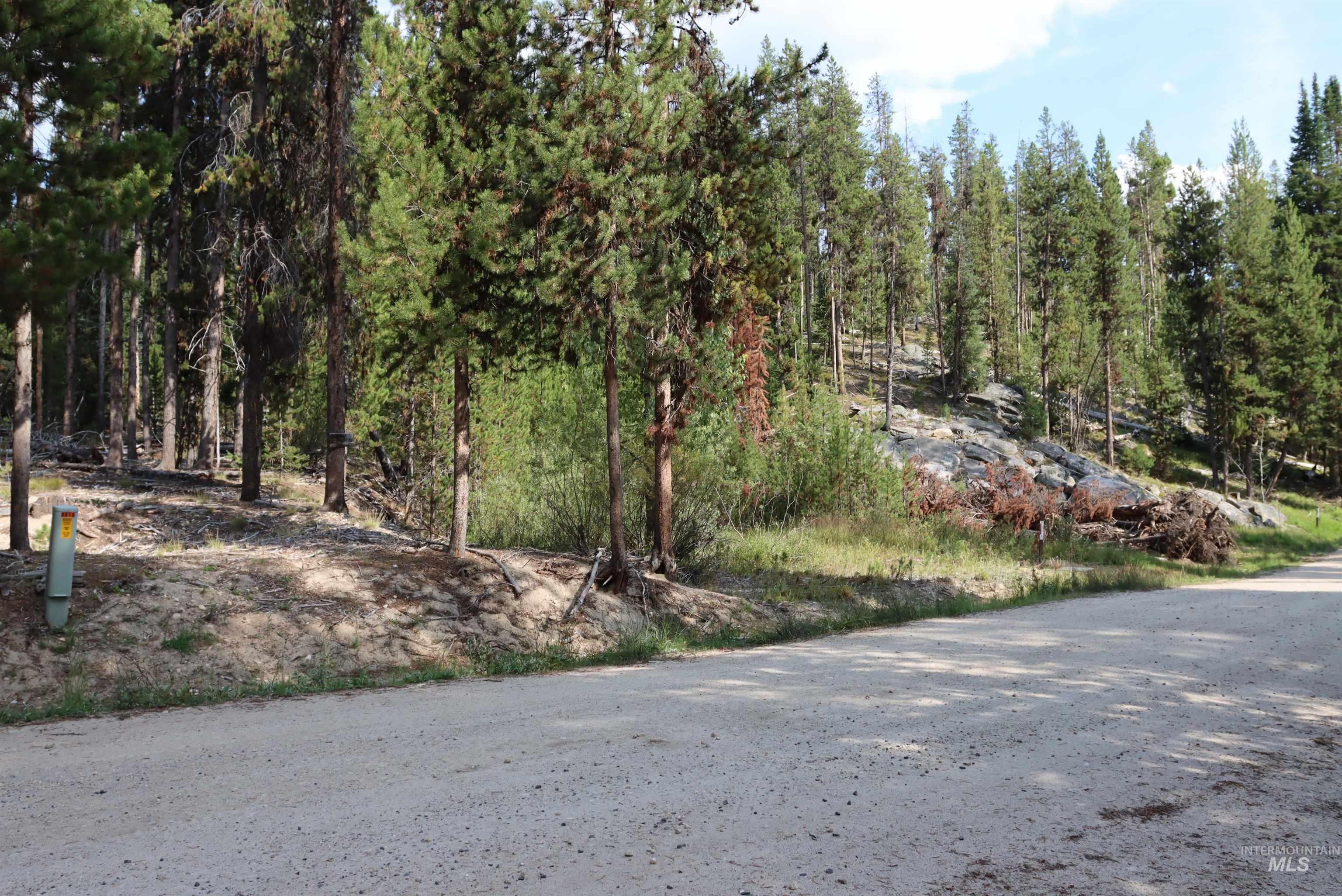 L49 Secesh River Road, McCall, Idaho 83638, Land For Sale, Price $225,000, 98992255