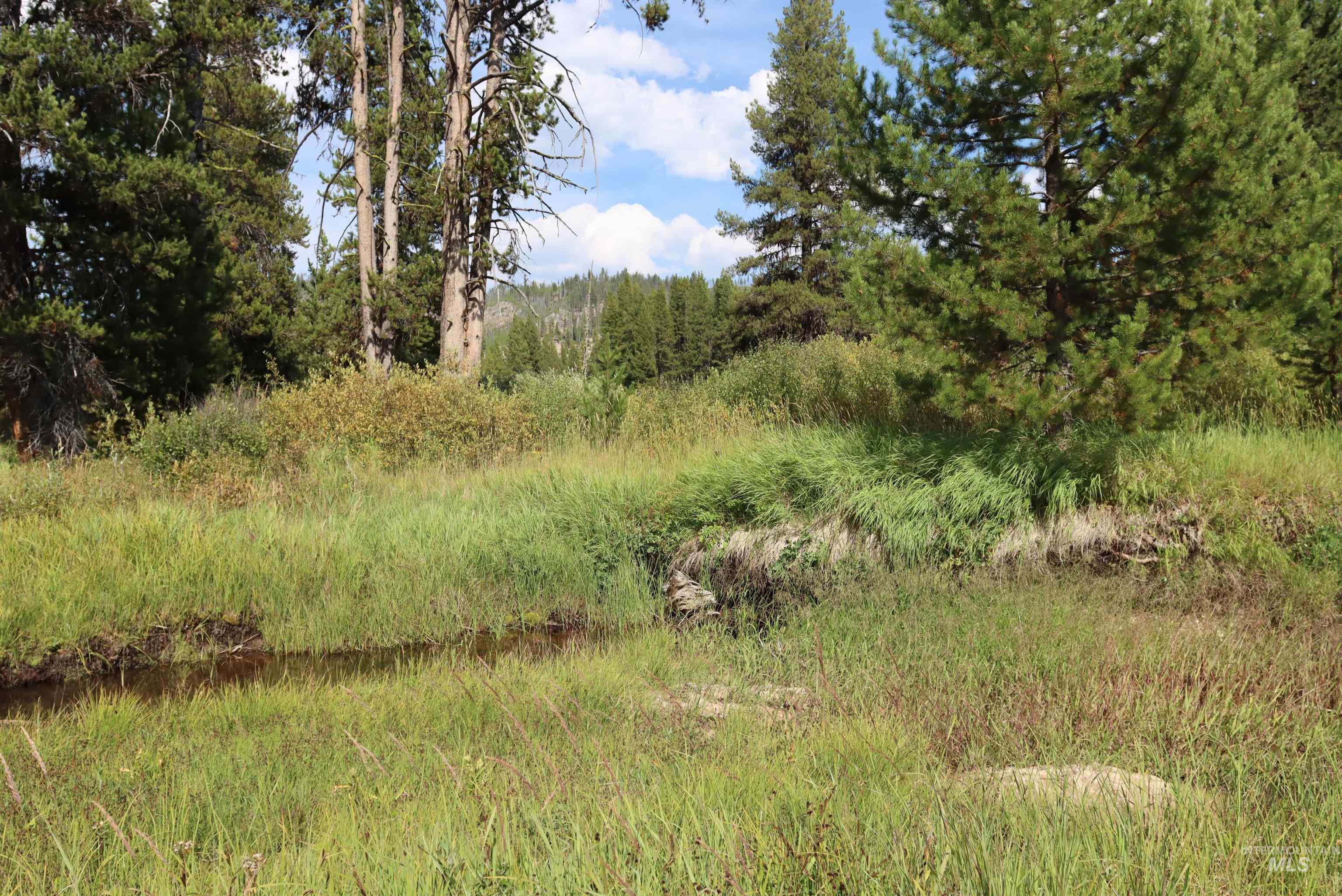 L49 Secesh River Road, McCall, Idaho 83638, Land For Sale, Price $225,000,MLS 98992255