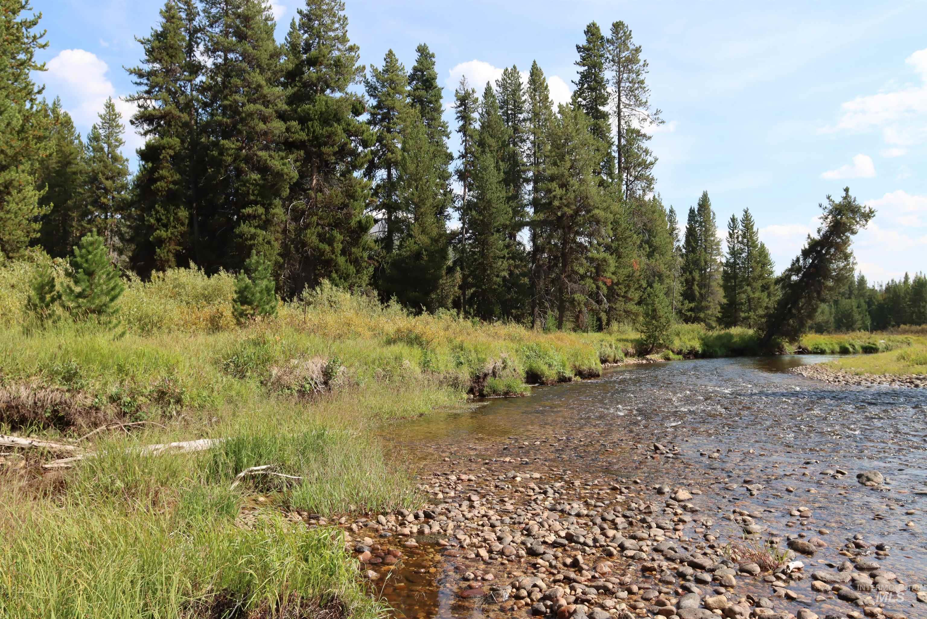 L49 Secesh River Road, McCall, Idaho 83638, Land For Sale, Price $225,000,MLS 98992255