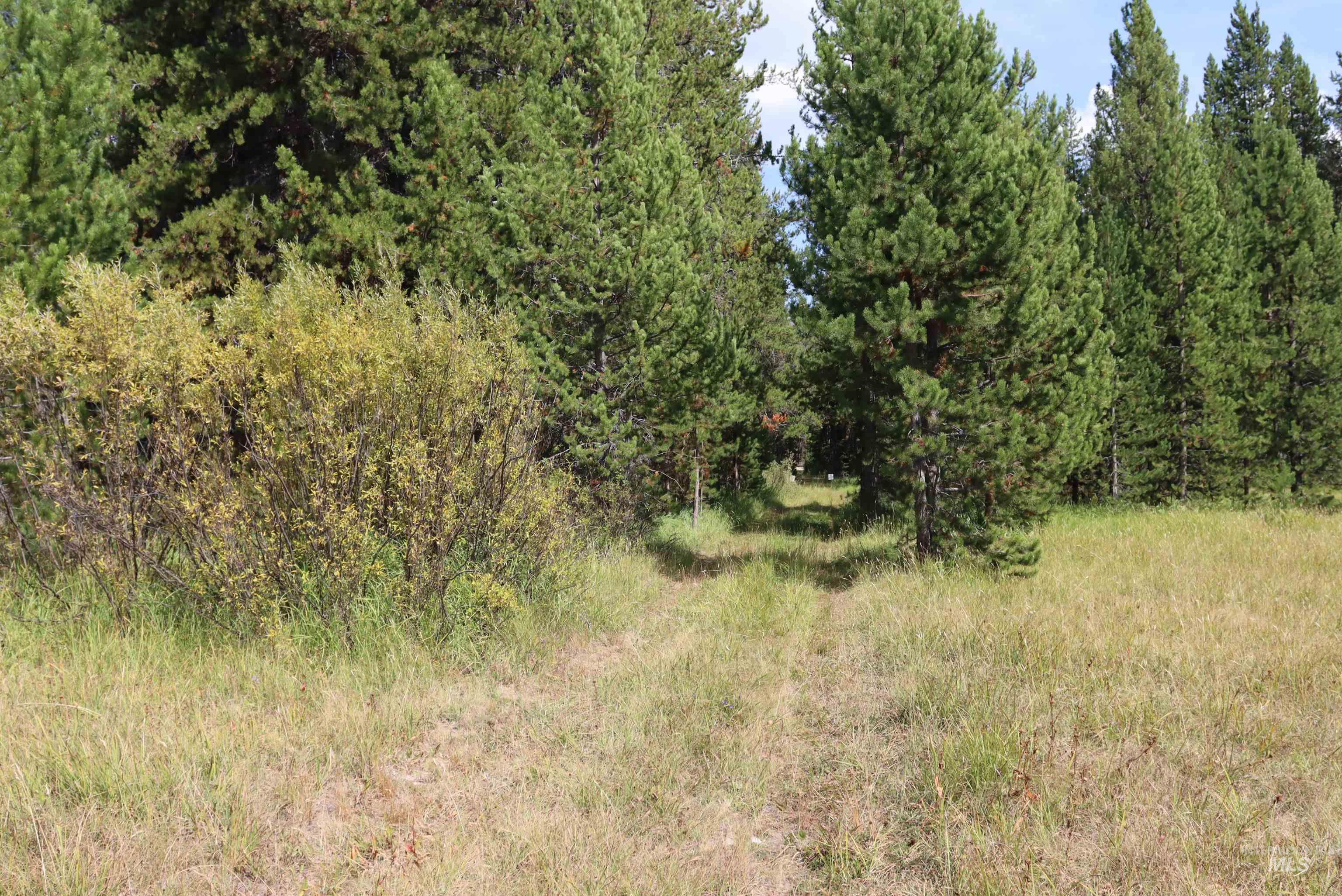 L49 Secesh River Road, McCall, Idaho 83638, Land For Sale, Price $225,000, 98992255